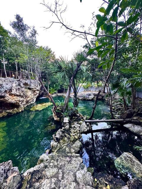 Cozy Getaway Shared Pool & Cenote Access