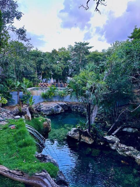 Cozy Getaway Shared Pool & Cenote Access