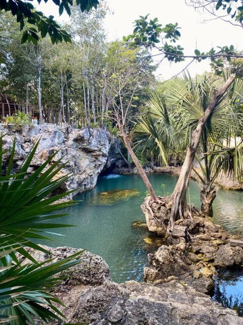 Cozy Getaway Shared Pool & Cenote Access