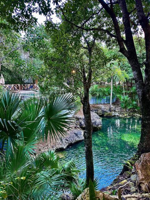 Cozy Getaway Shared Pool & Cenote Access