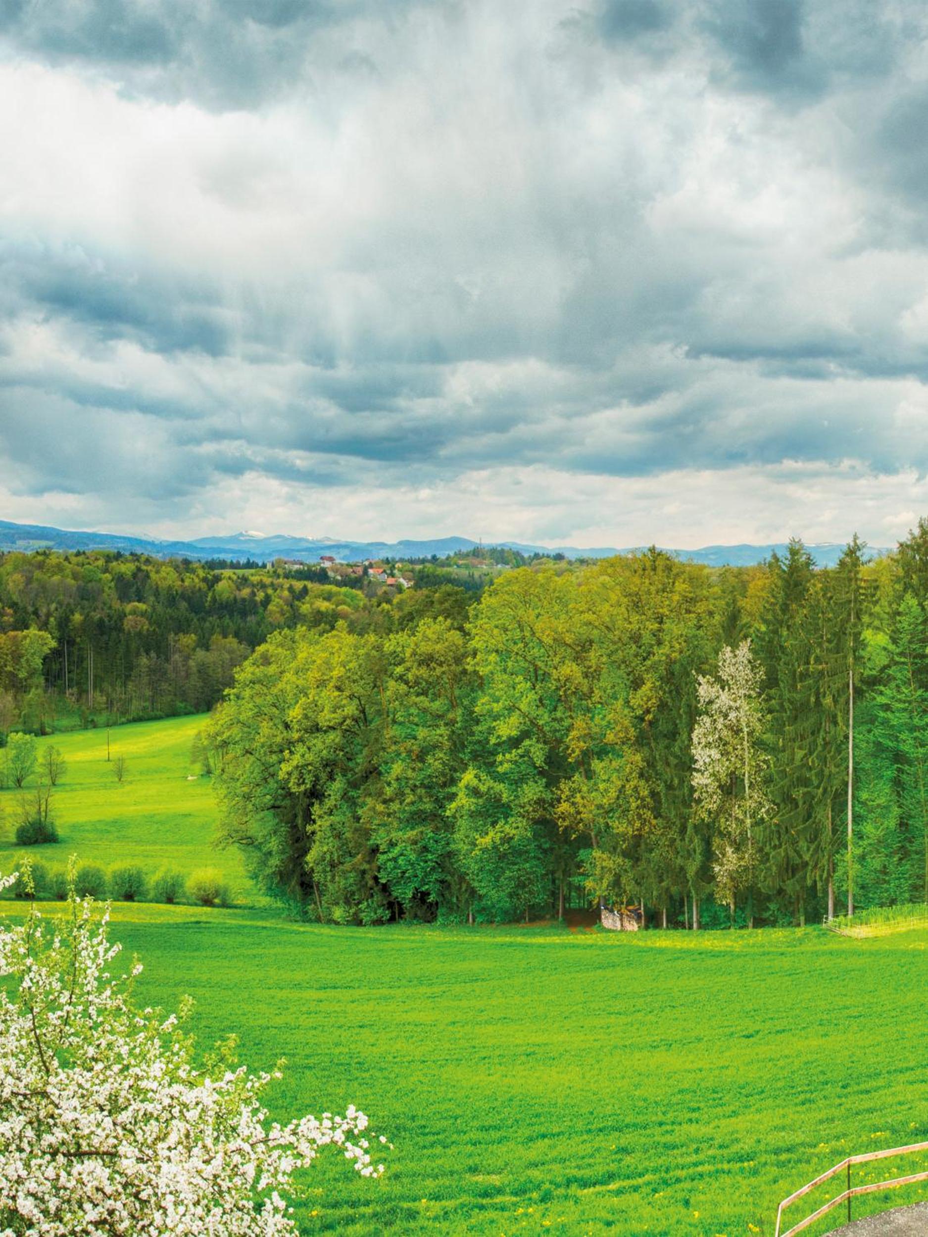 Frühstückspension Zanglhof