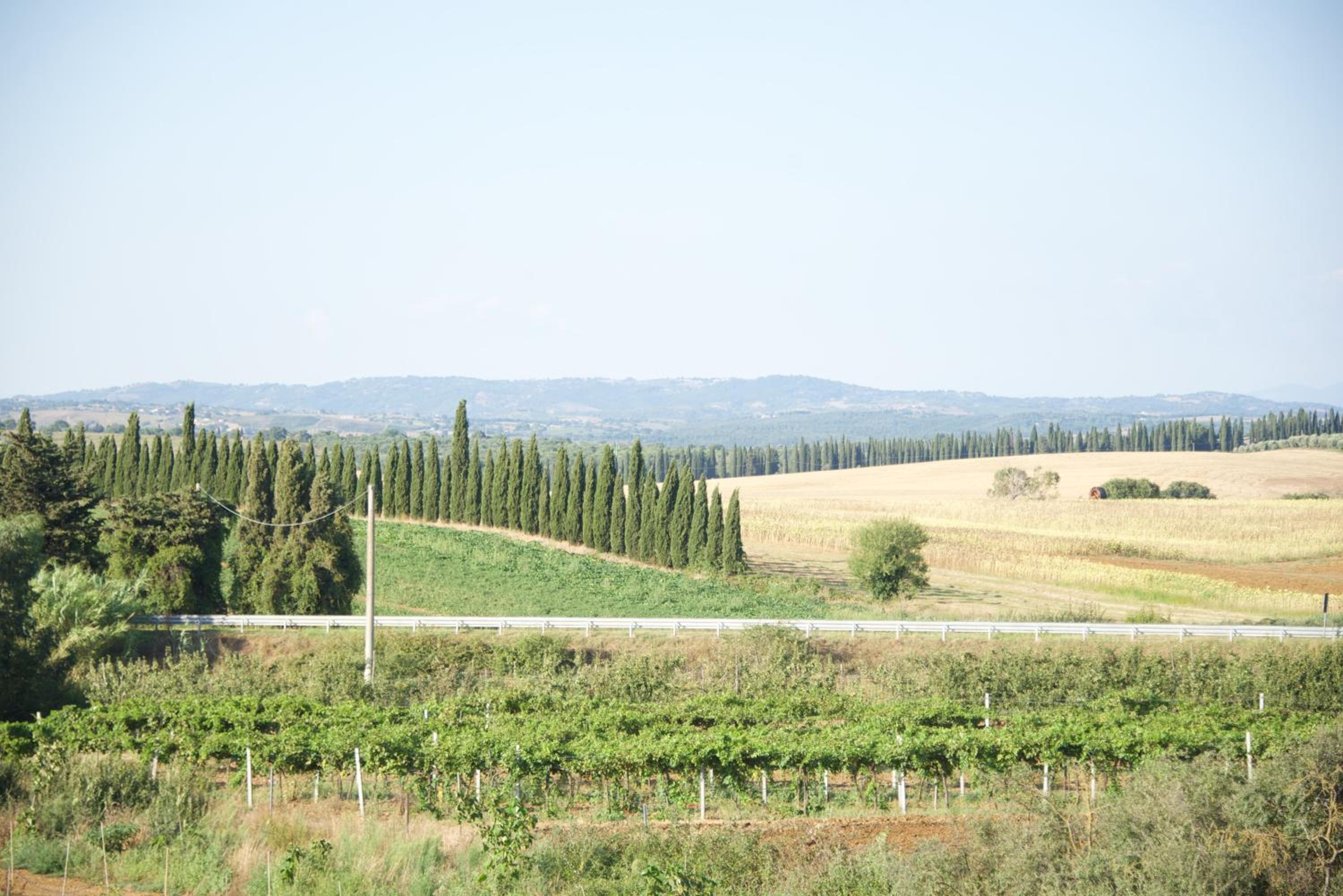 LaSelva
