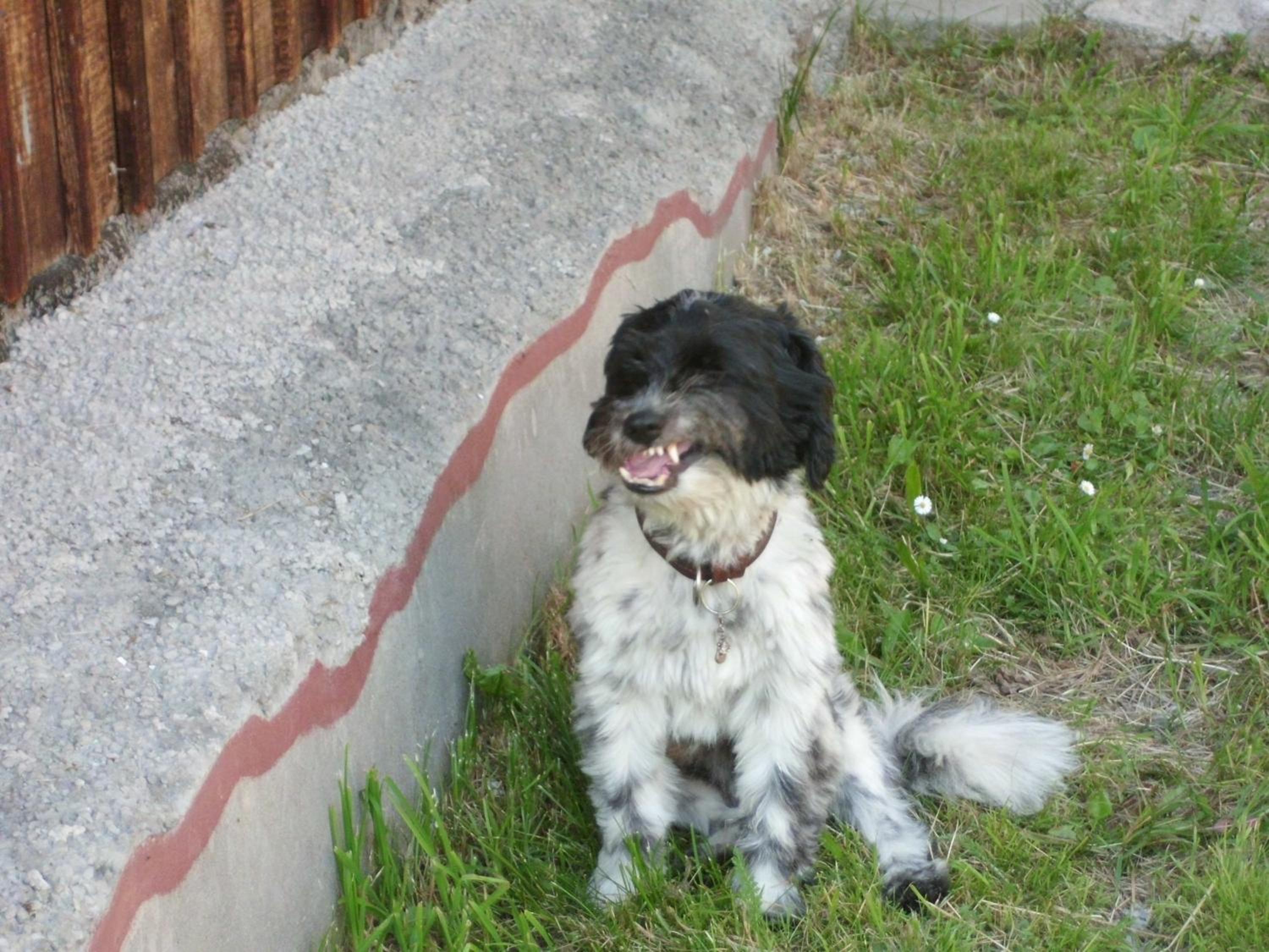 Photo 41