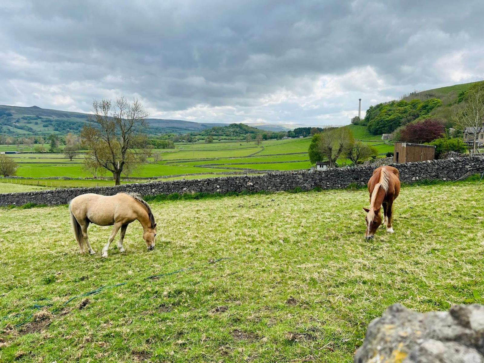 Pass the Keys Stunning 3-Bed Cottage Shepherd Hut Peak Views