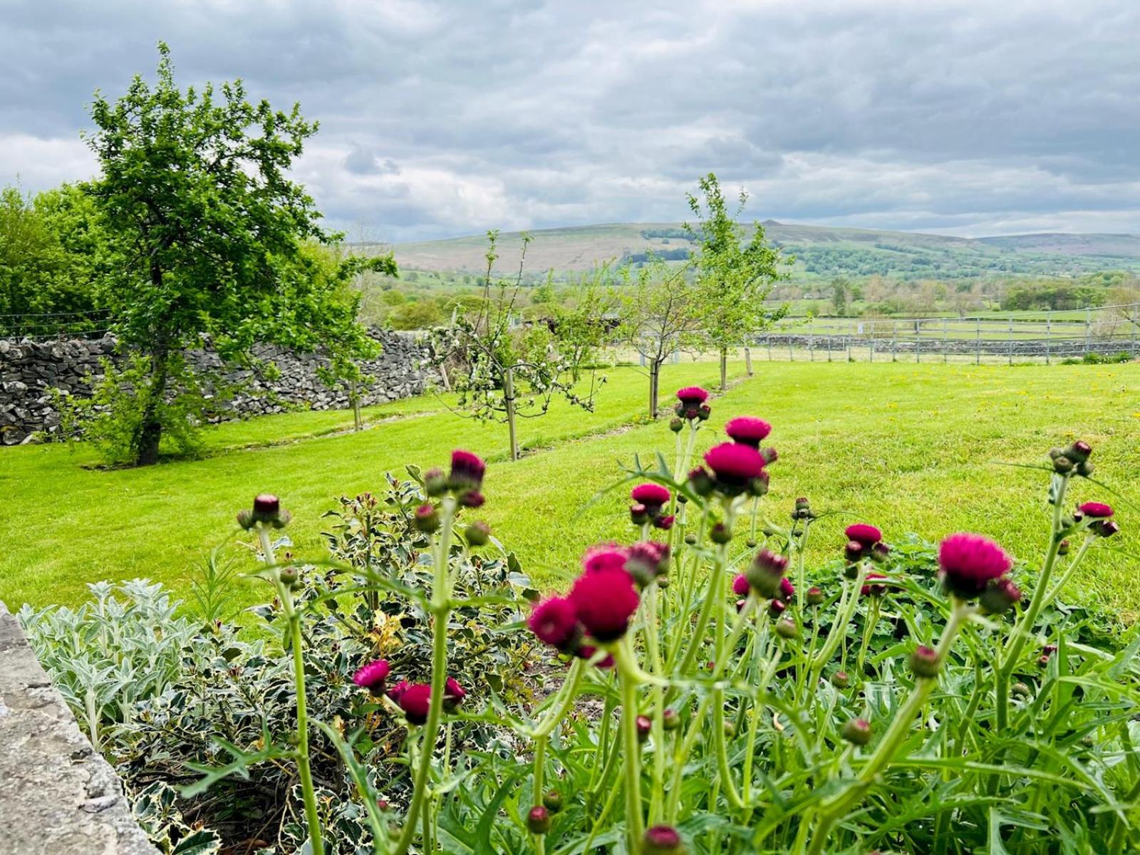 Pass the Keys Stunning 3-Bed Cottage Shepherd Hut Peak Views