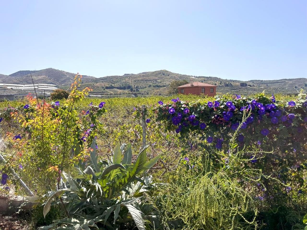 Villa Verzul