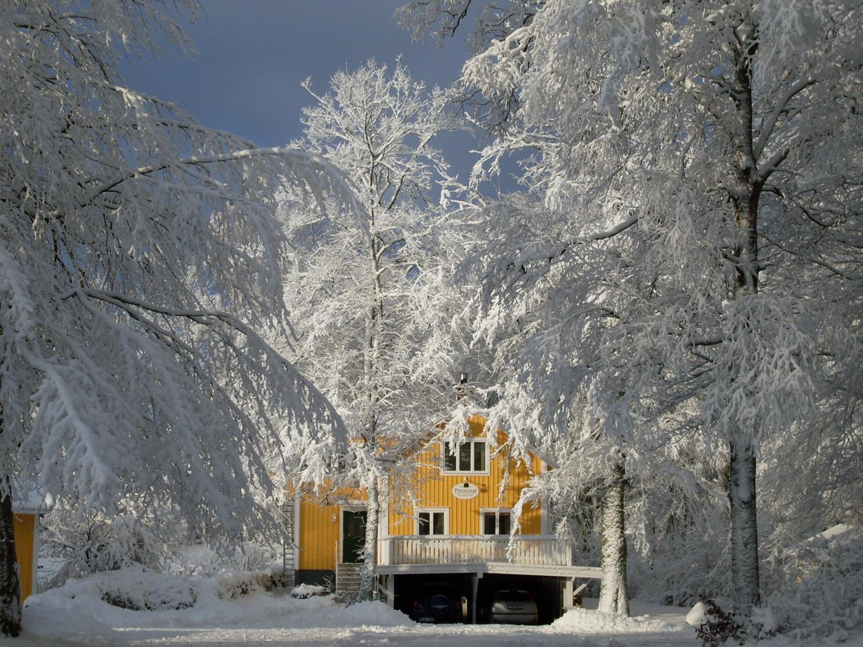 Hotel & Pensionat Björkelund