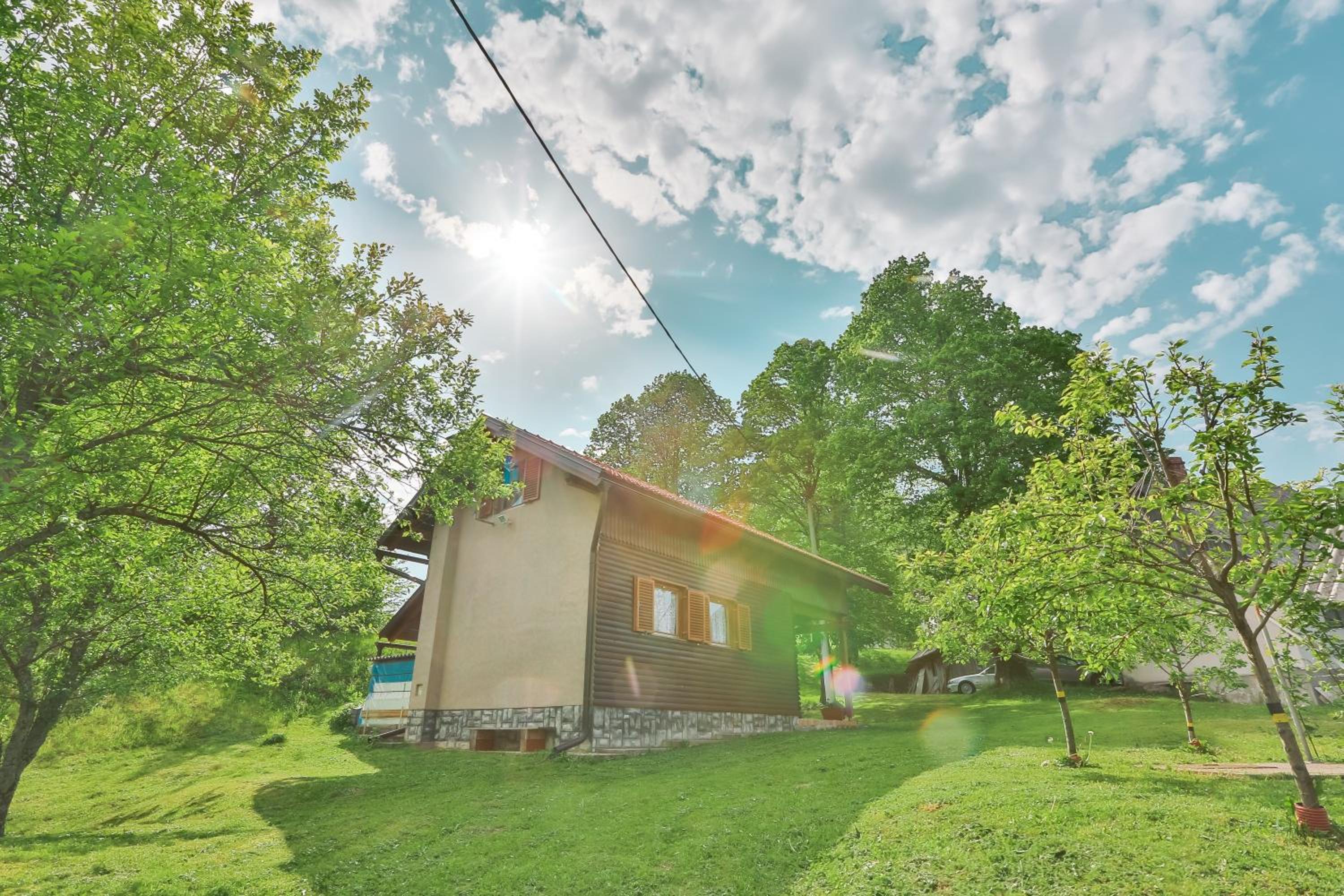 Photo 25