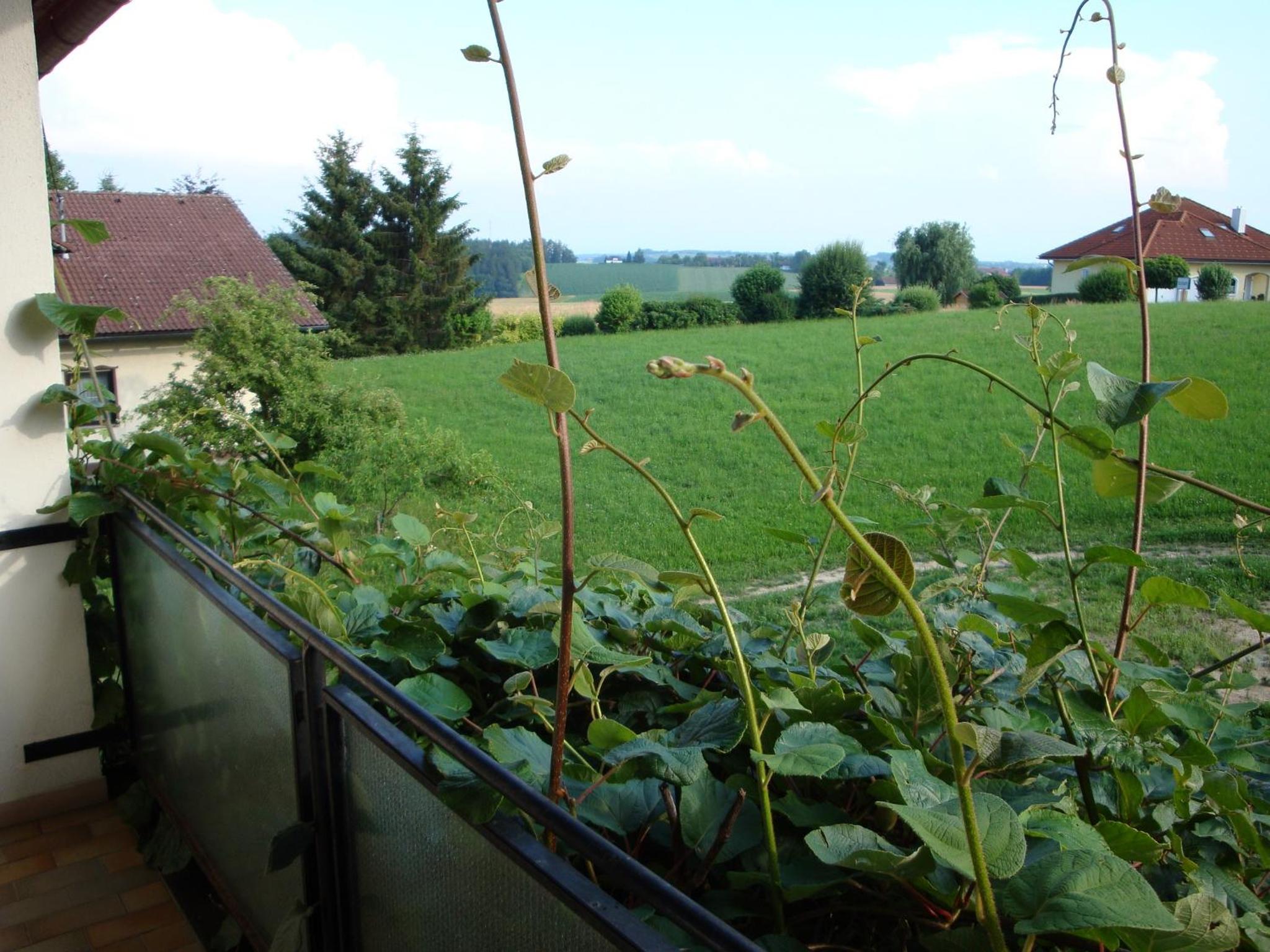 Landgasthof Waldesruh