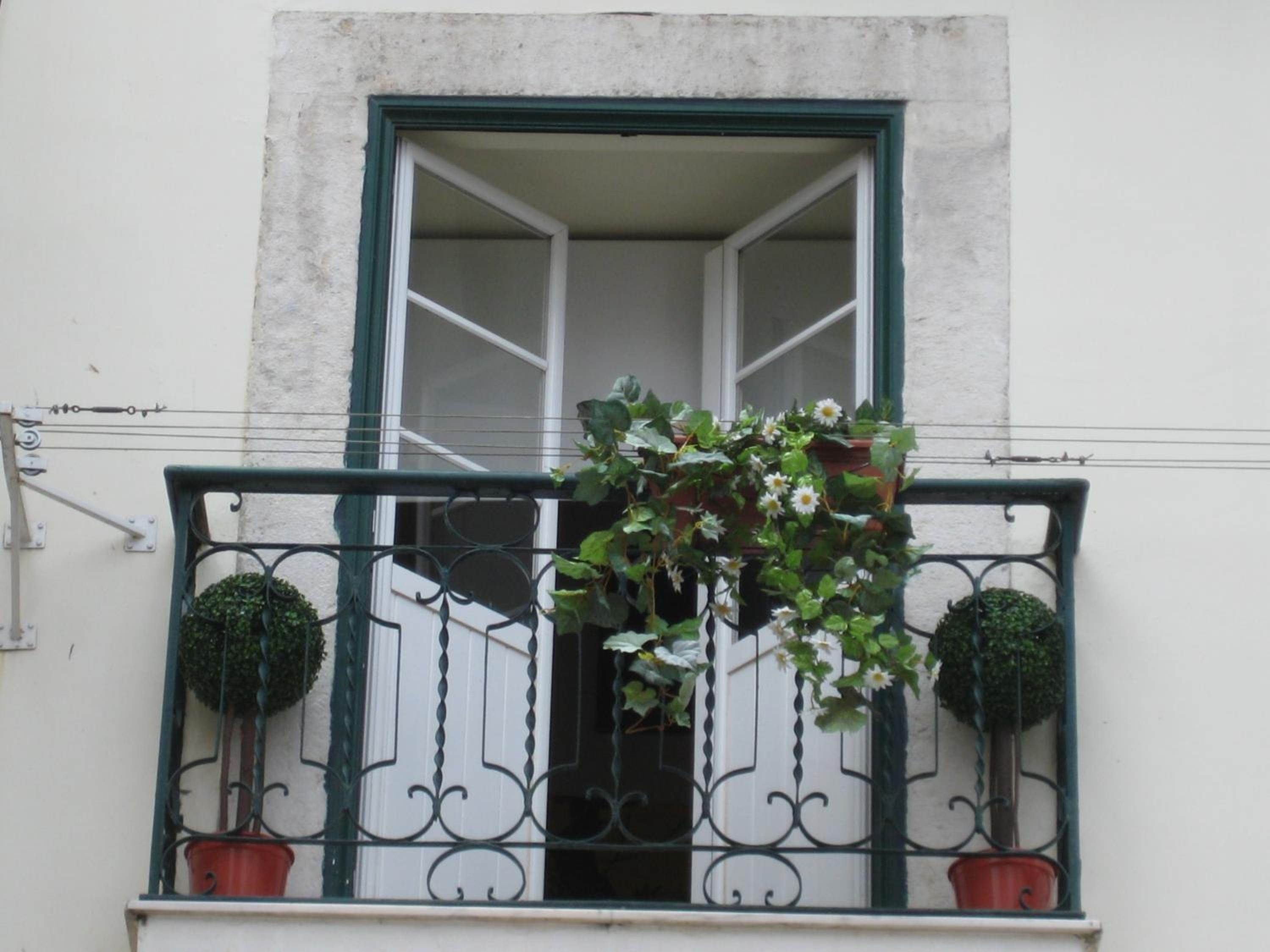 Photo 45