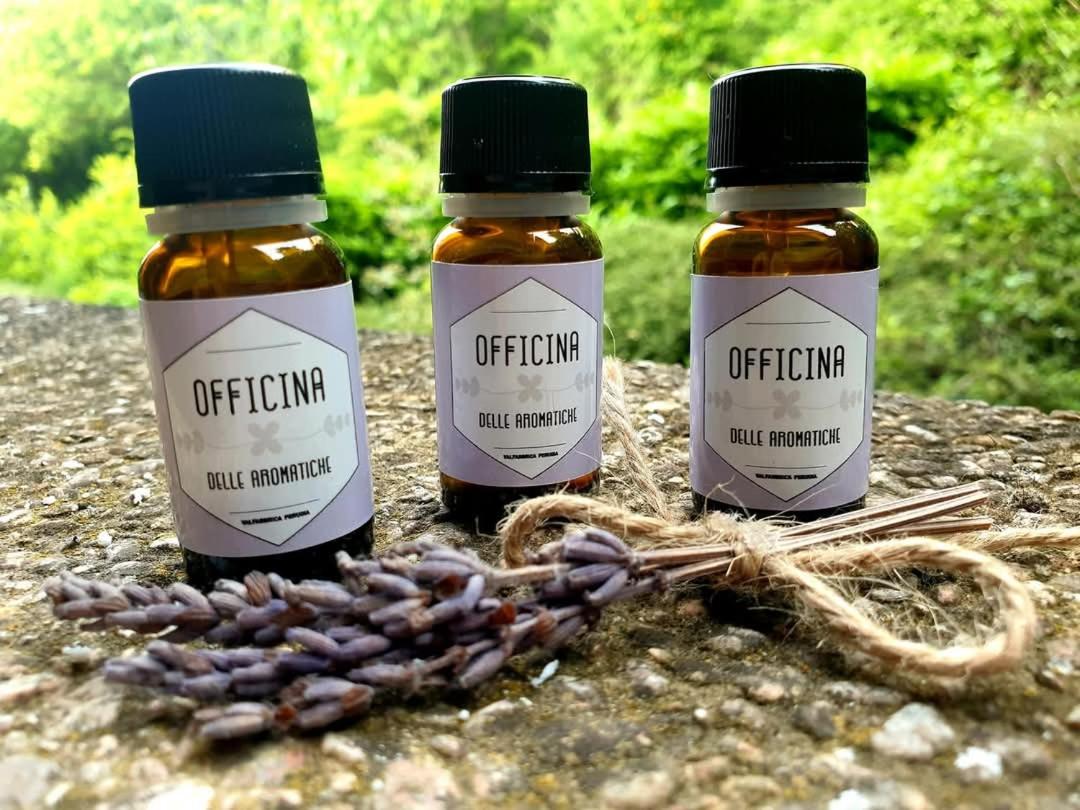Domus Aromatica, profumo d'Assisi, profumo di casa