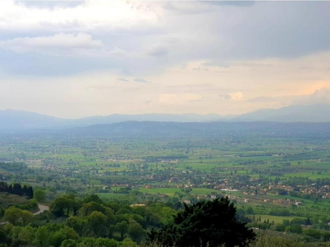 Domus Aromatica, profumo d'Assisi, profumo di casa
