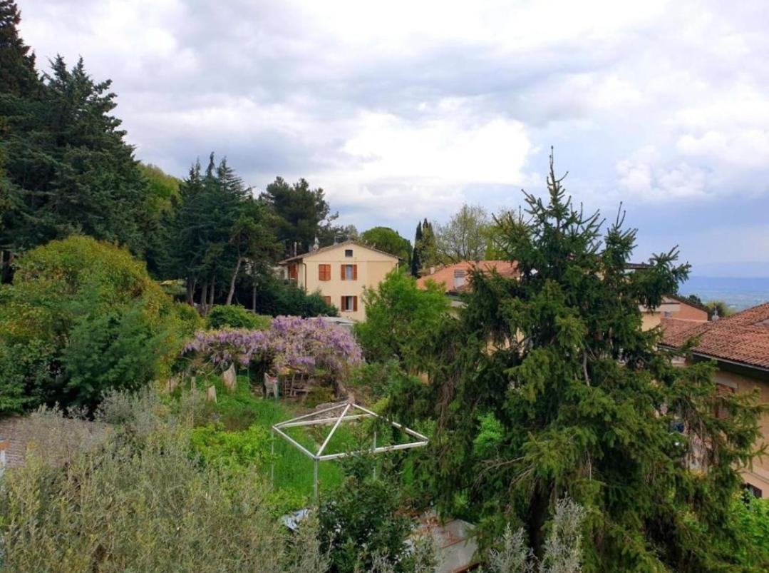 Domus Aromatica, profumo d'Assisi, profumo di casa