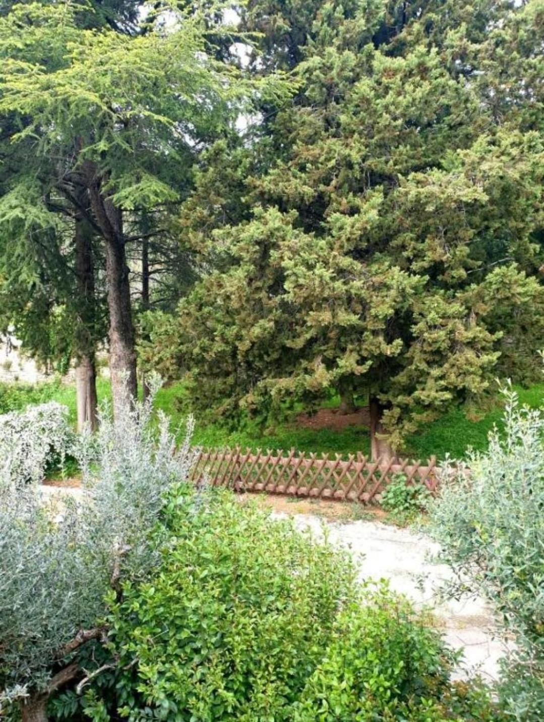 Domus Aromatica, profumo d'Assisi, profumo di casa