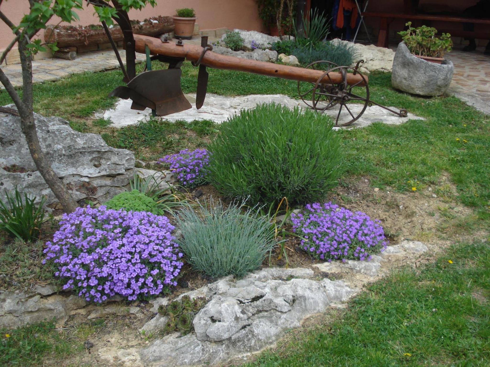 Photo 52