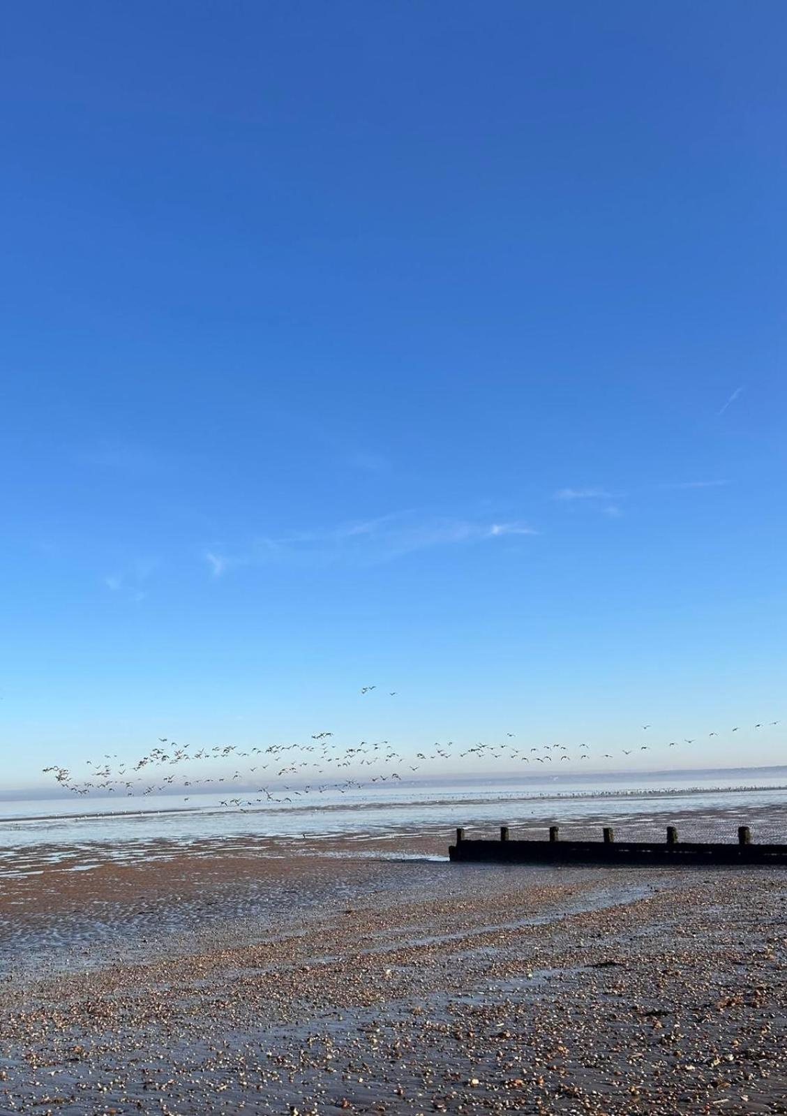 The Bird's Nest by Sheppey Stays- Pet Friendly Cozy Coastal Escape - Sleeps 6 with Parking - Great Rates for Long Stays