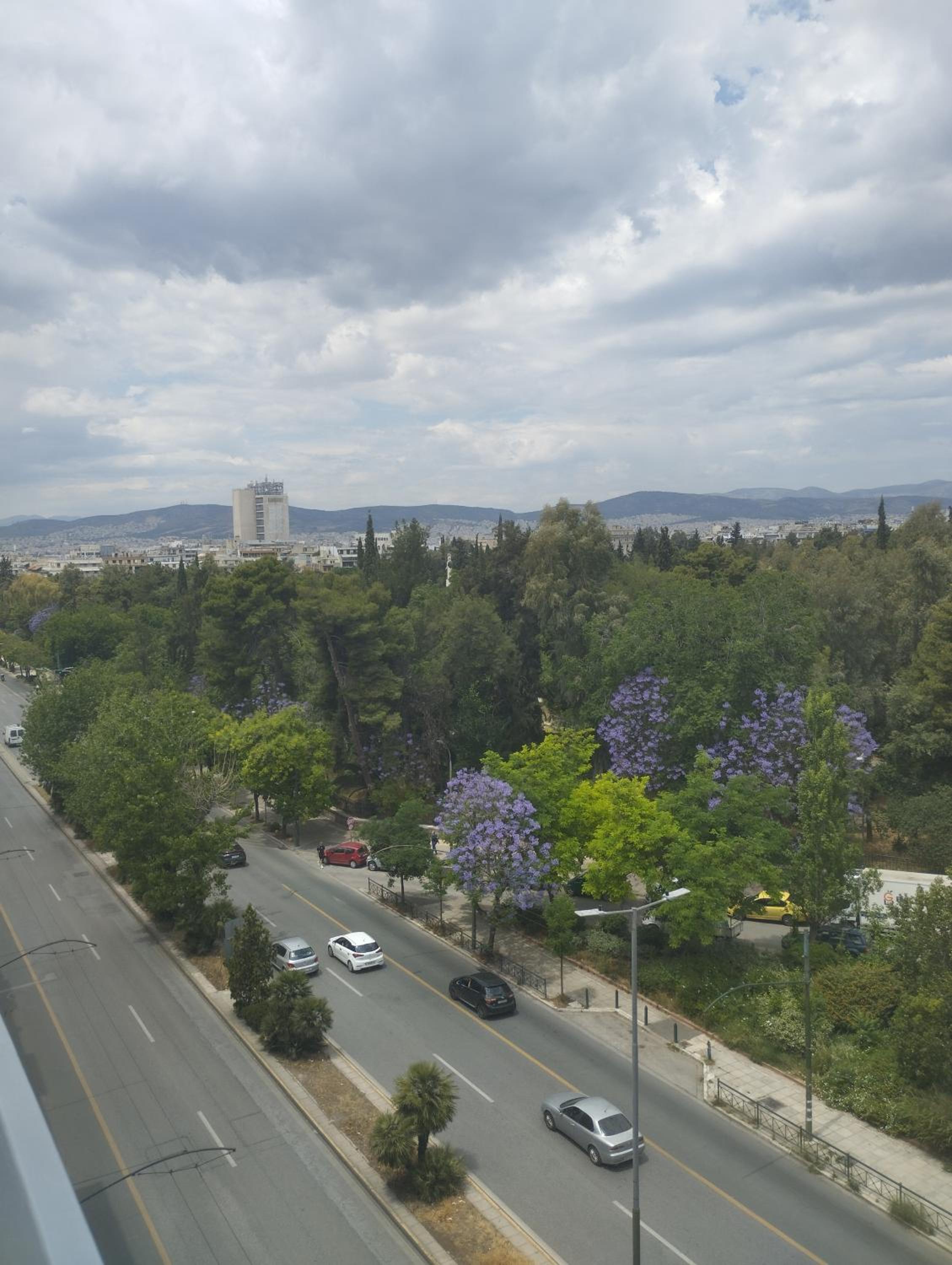 Alexandras Park View
