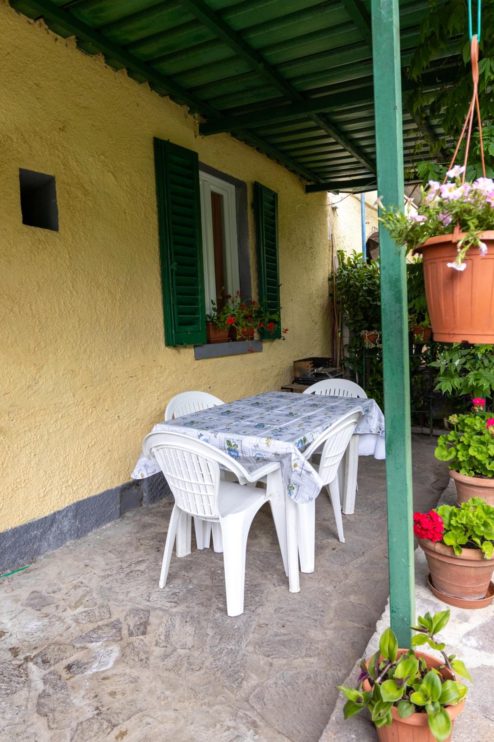 casa minnie