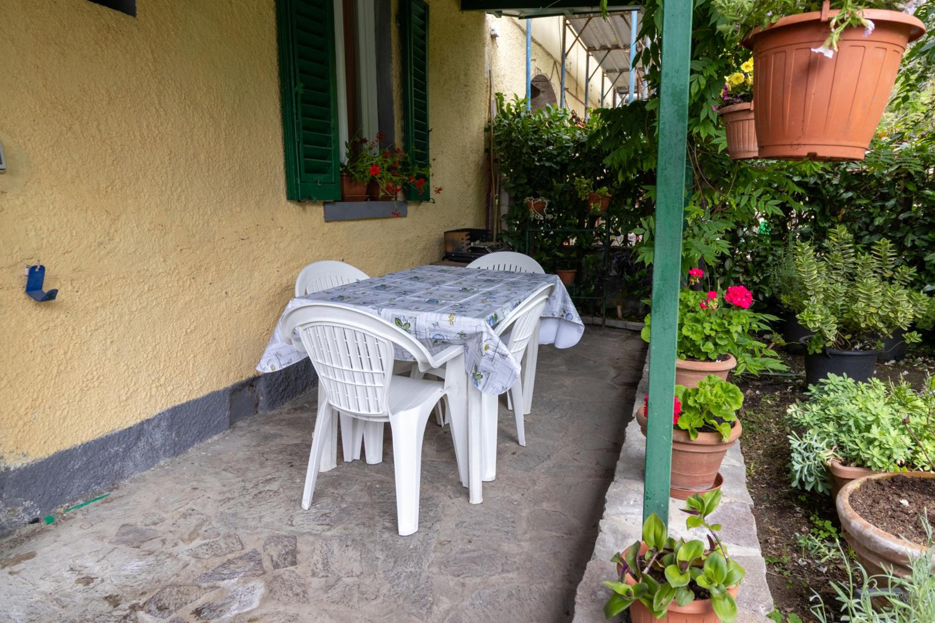 casa minnie