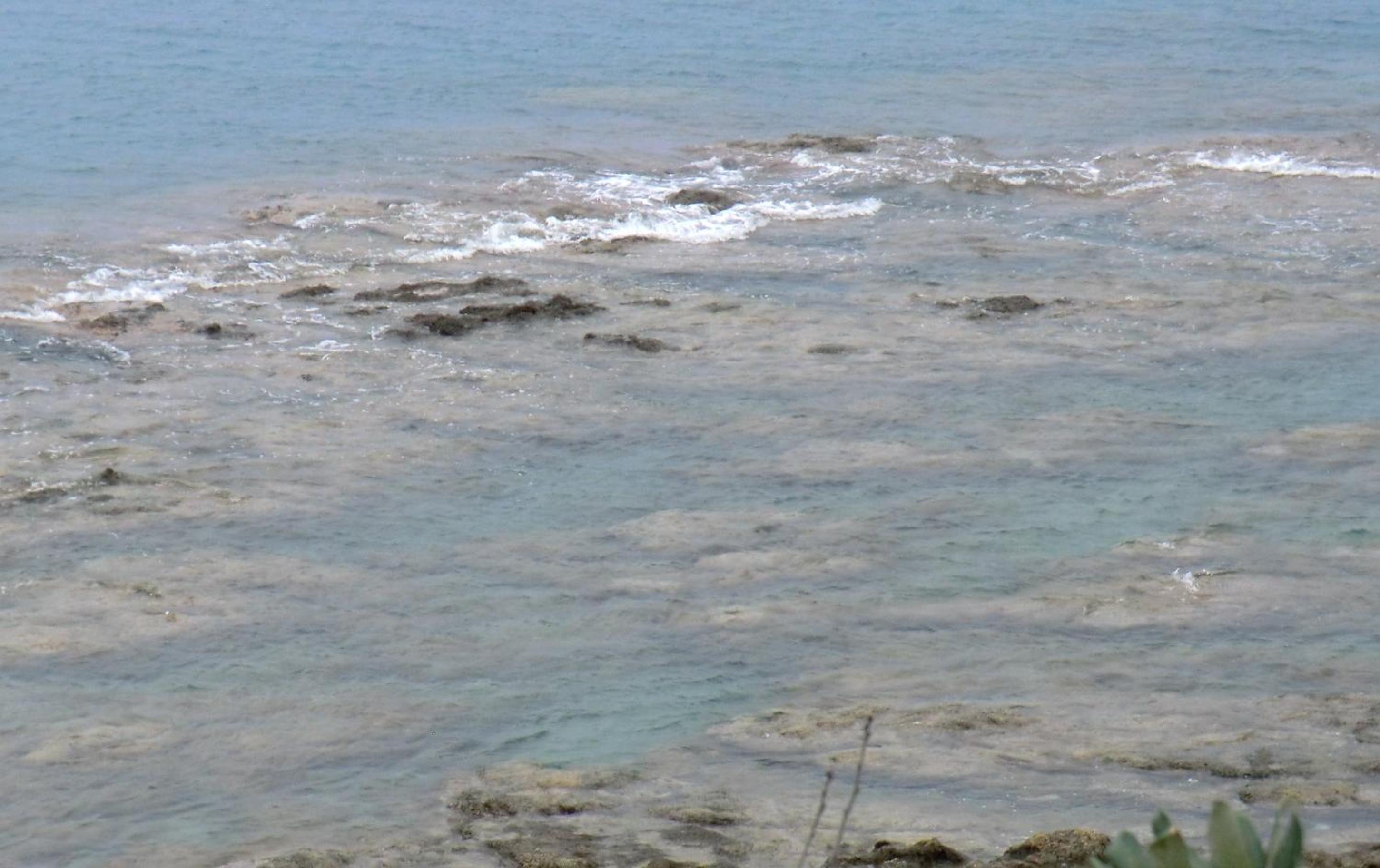 Verde Mare apartment Rosignano Marittimo