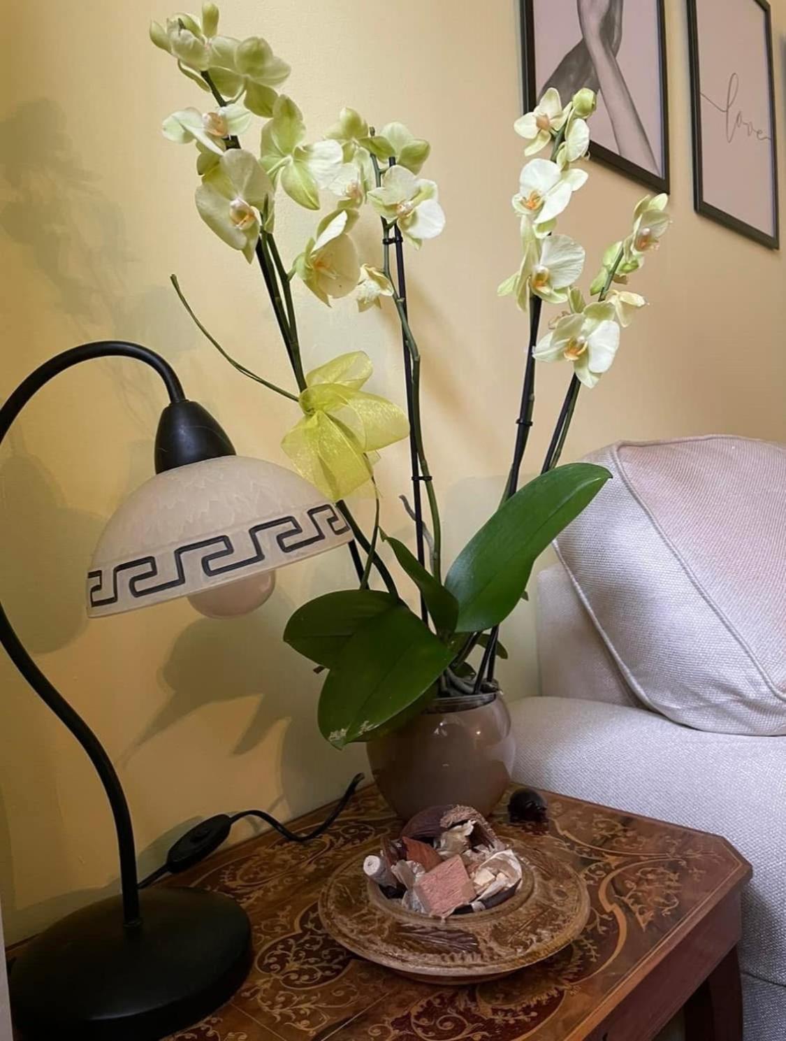 B&b Carducci