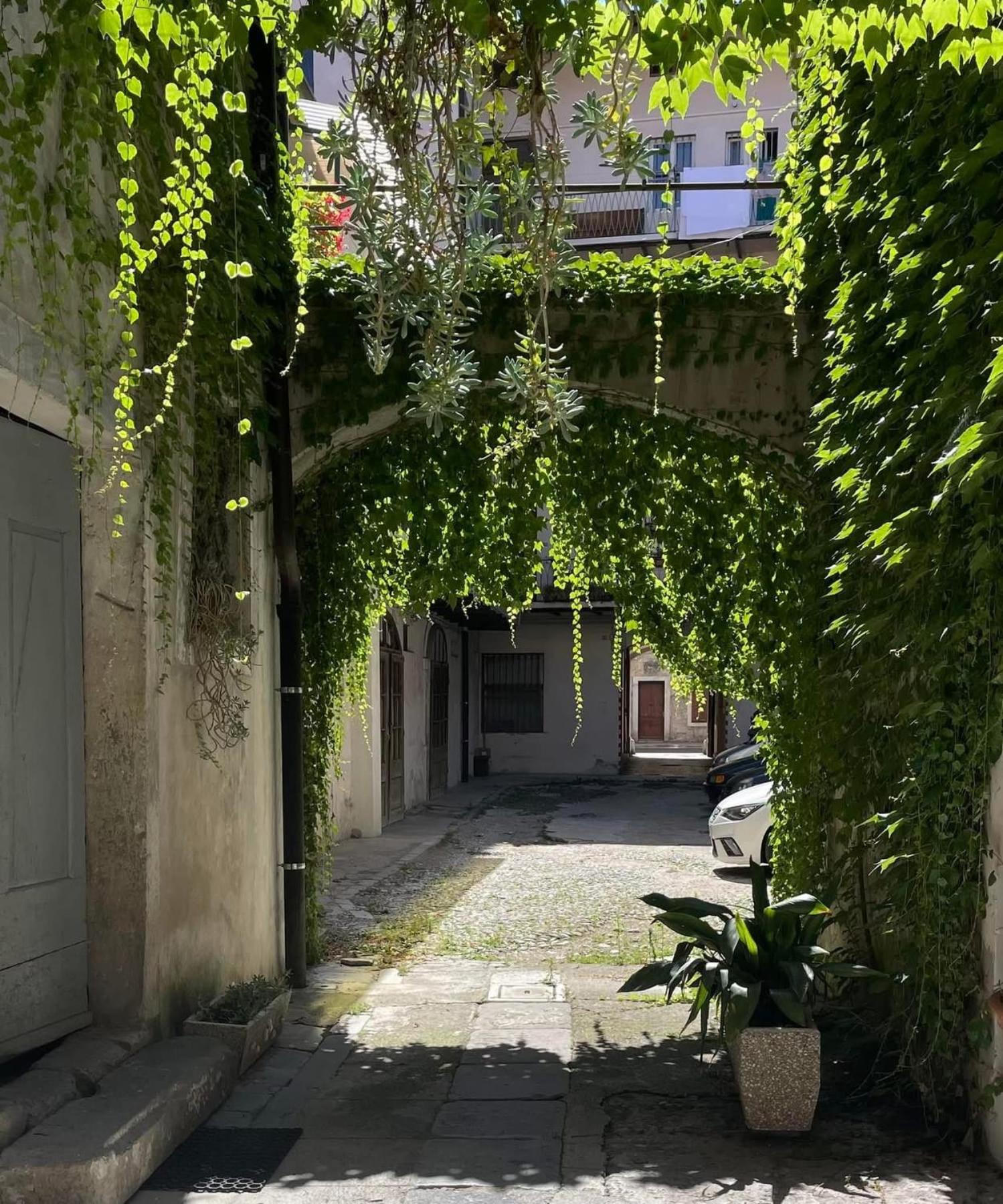 B&b Carducci
