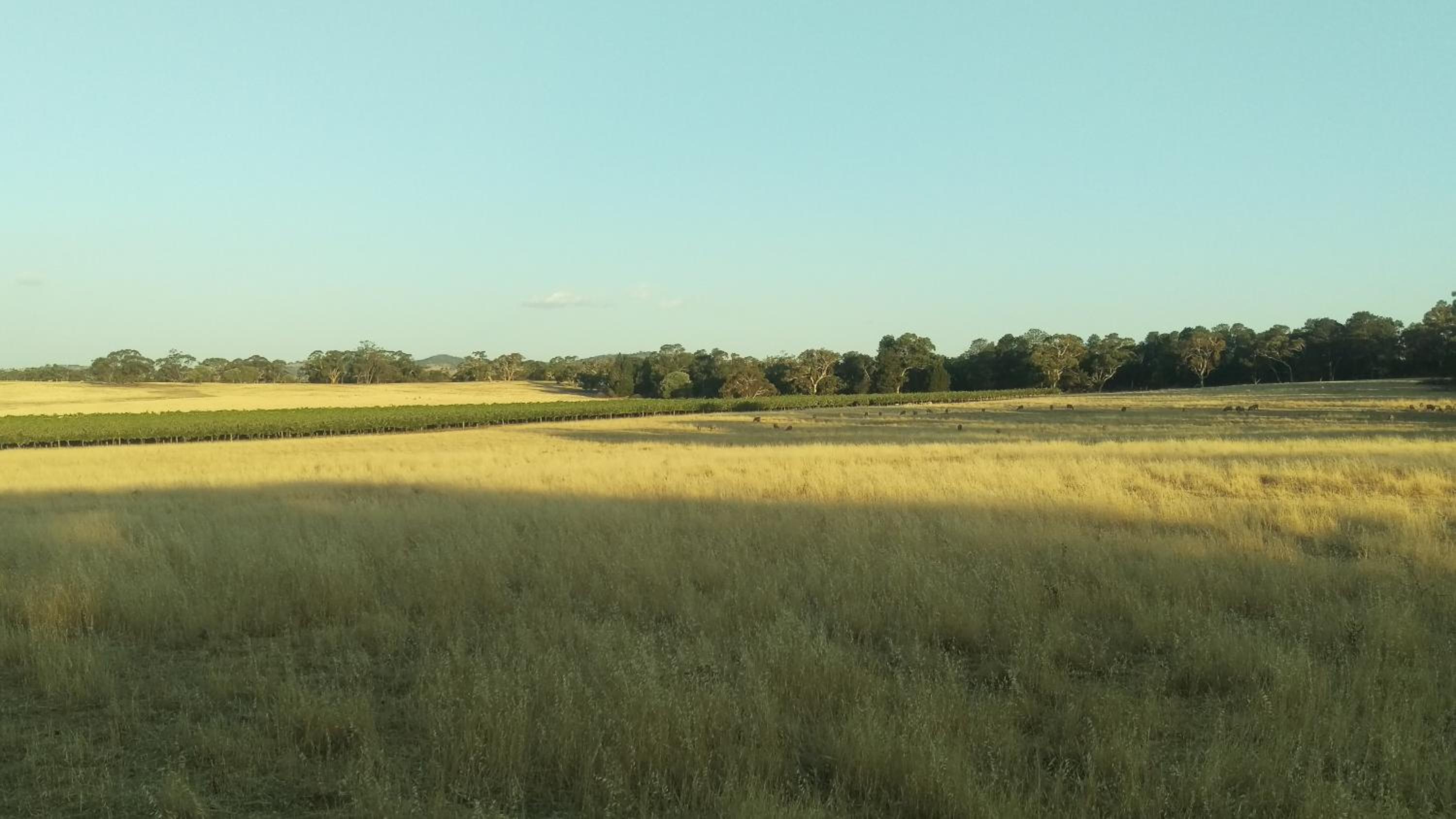 The Cottage at Riverside Farm