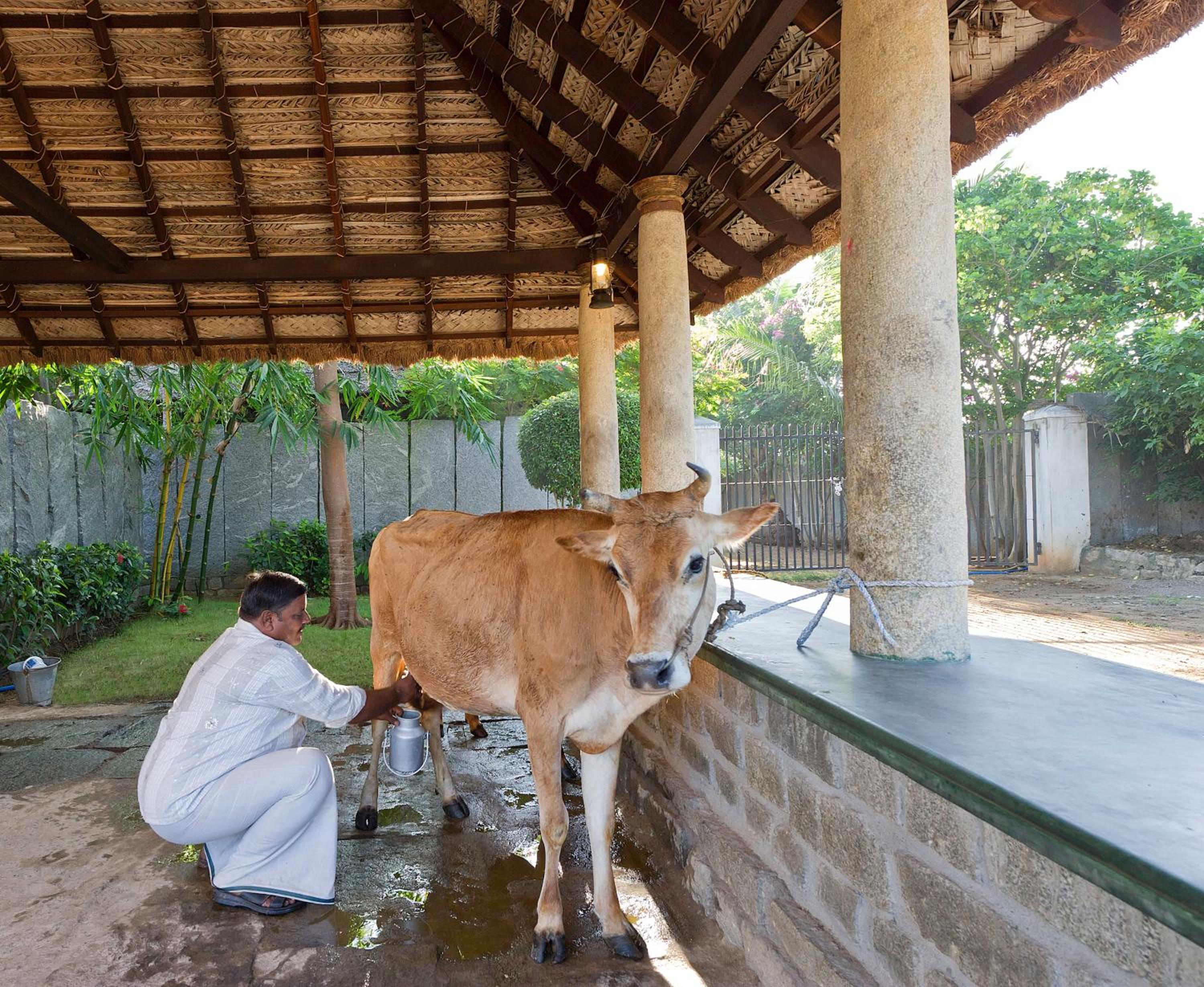Halez Sparsa Thiruvannamalai