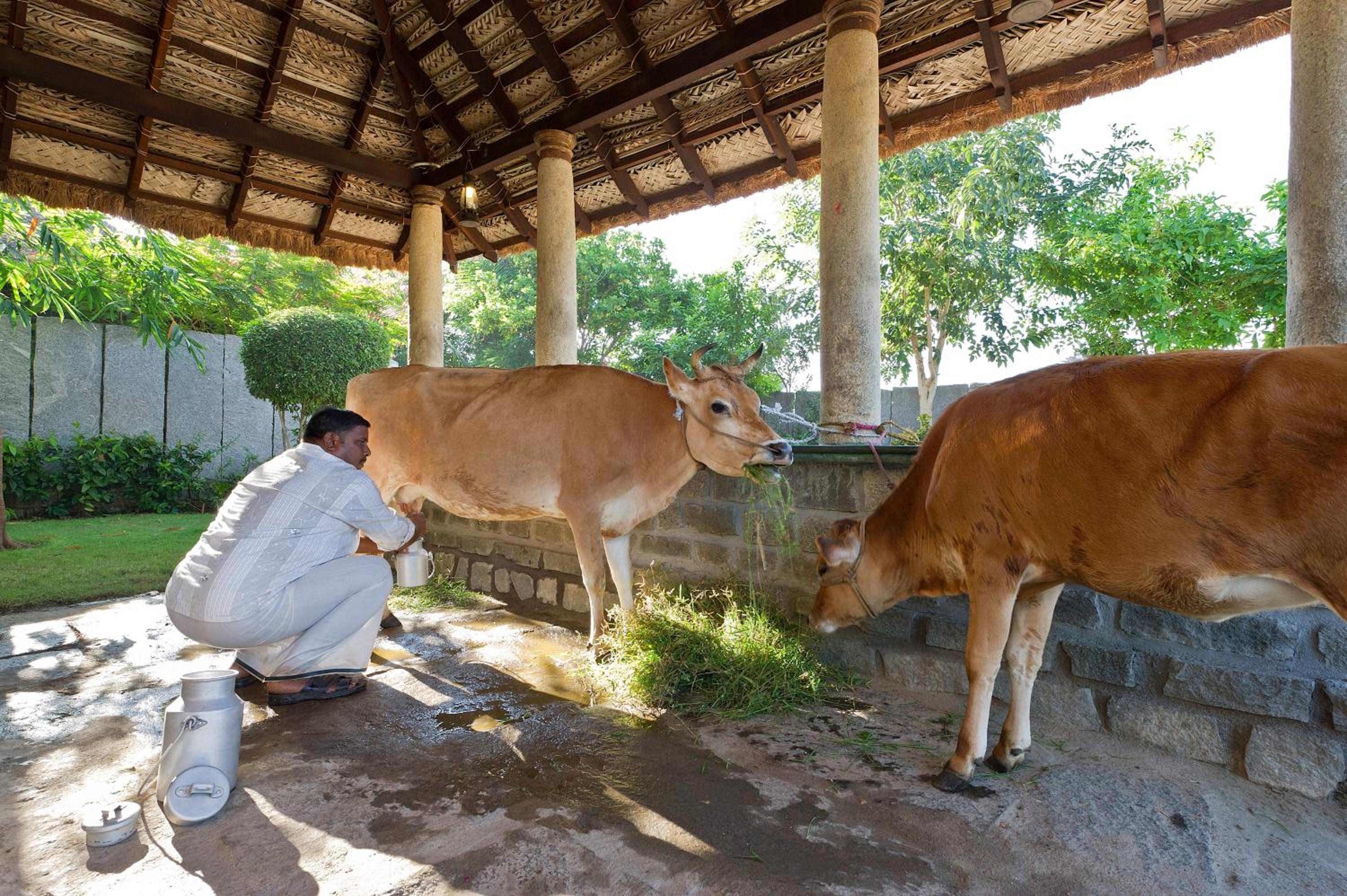Halez Sparsa Thiruvannamalai