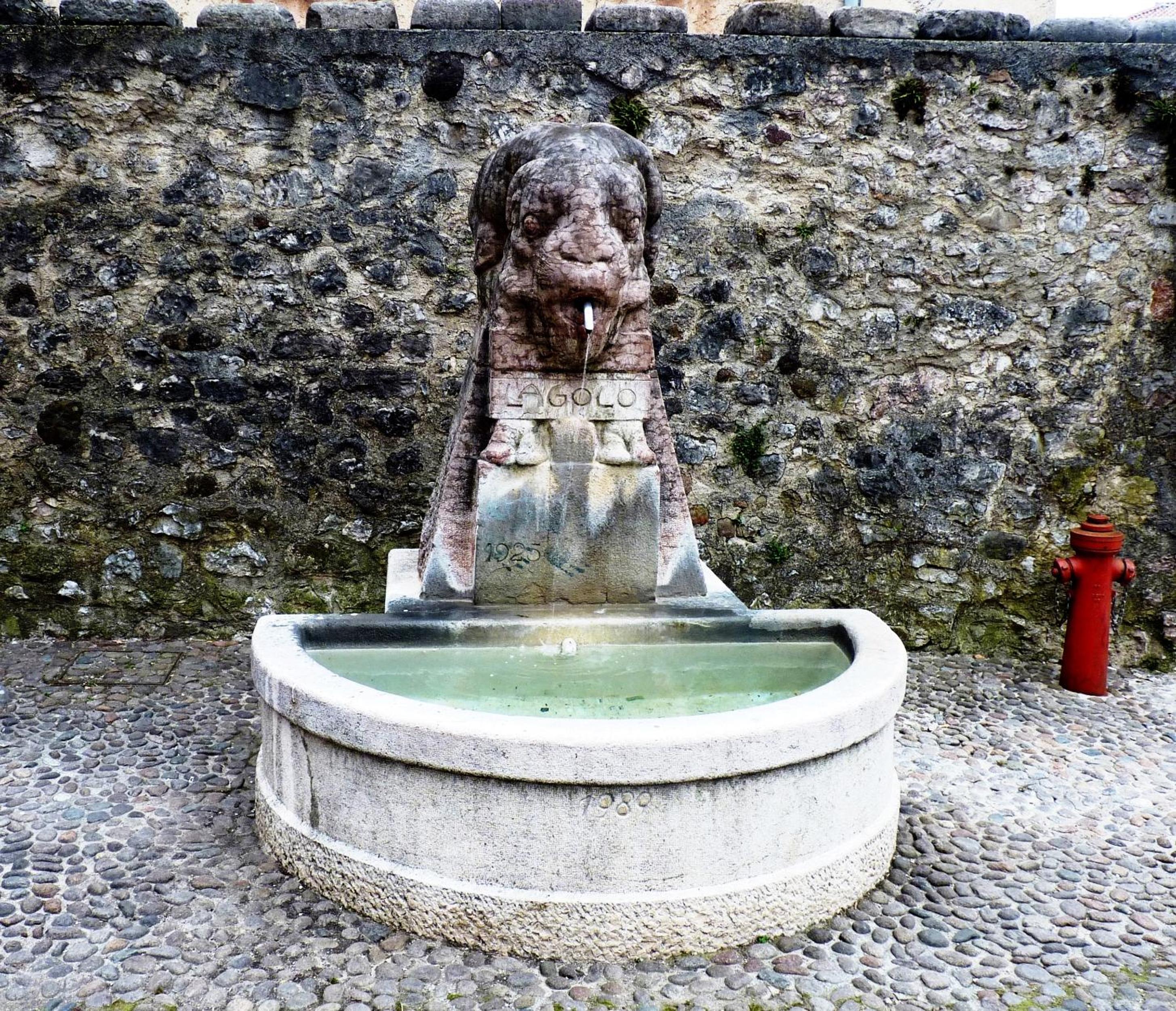 Photo 42