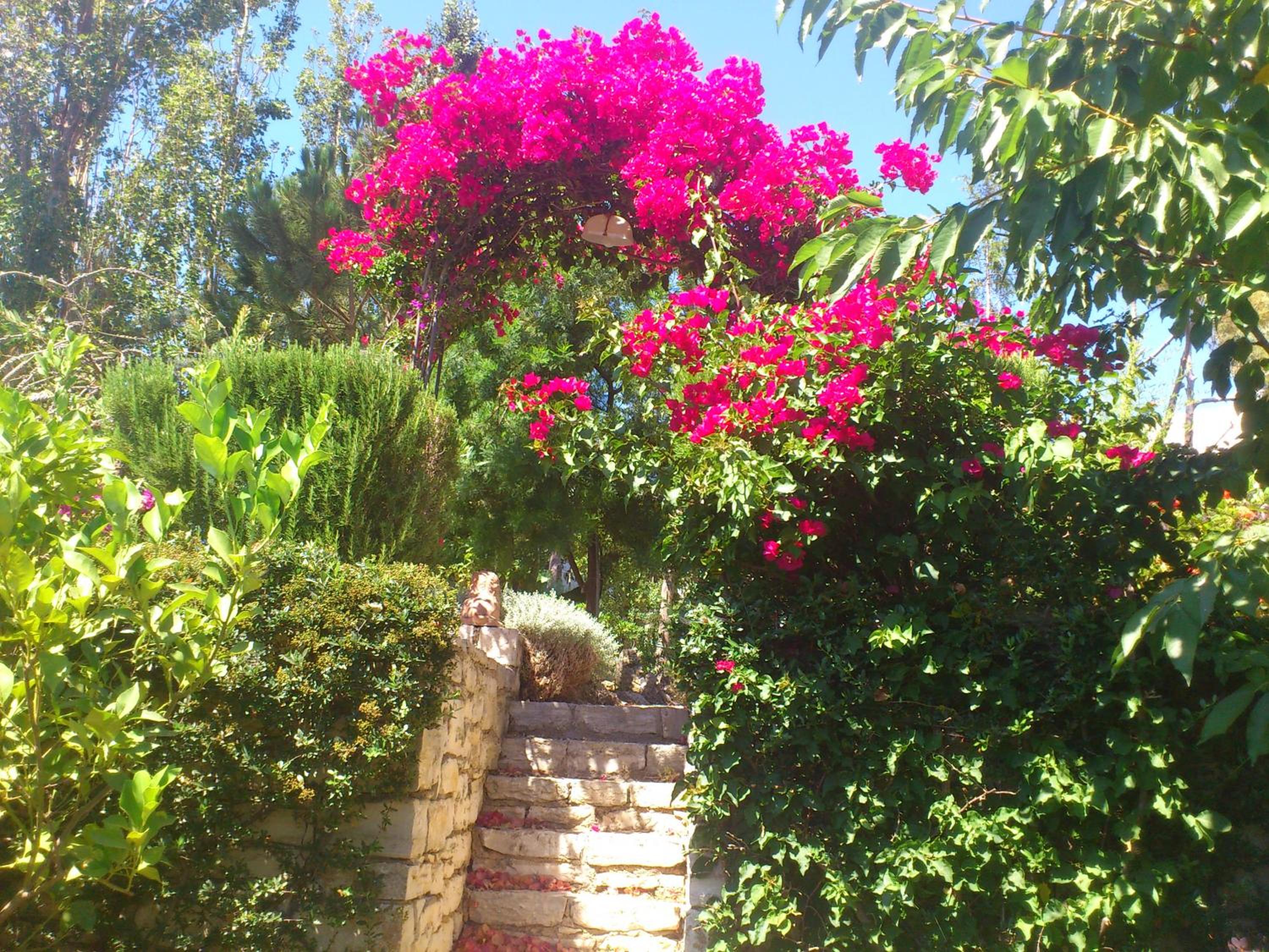 Photo 27