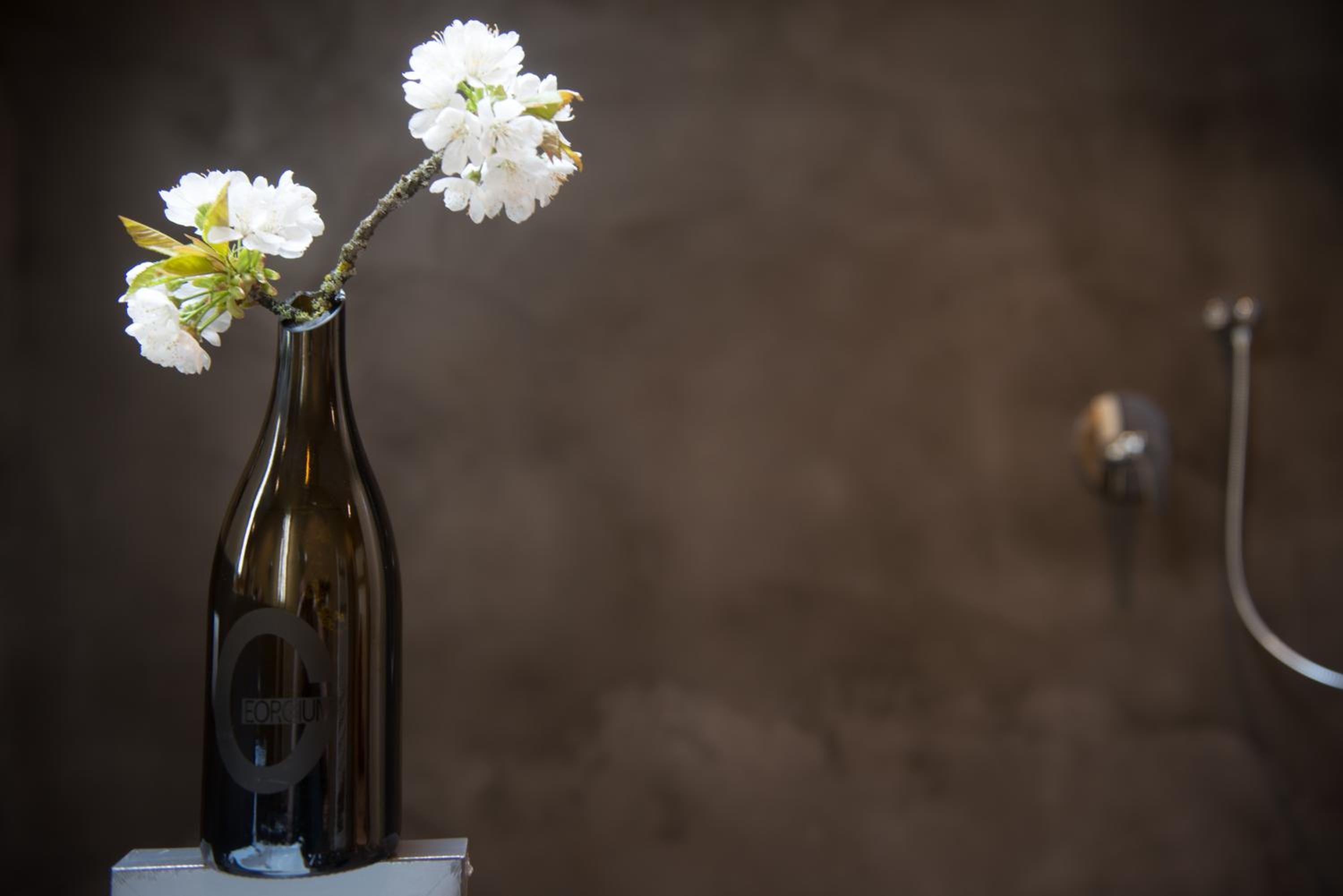 Bio Weingut Georgium