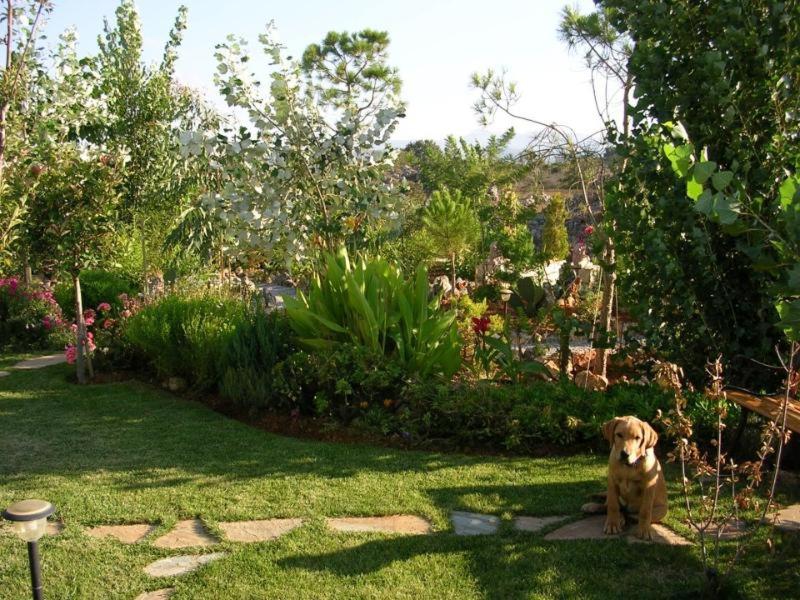 Photo 23