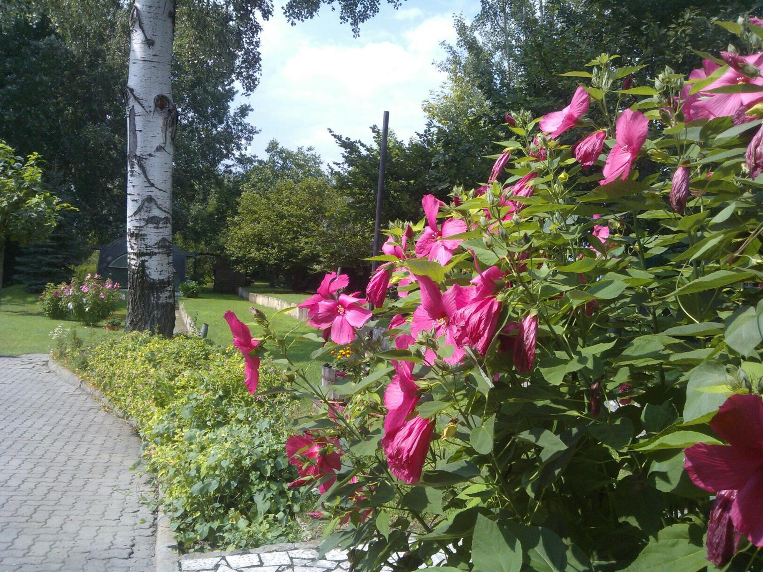 Photo 29
