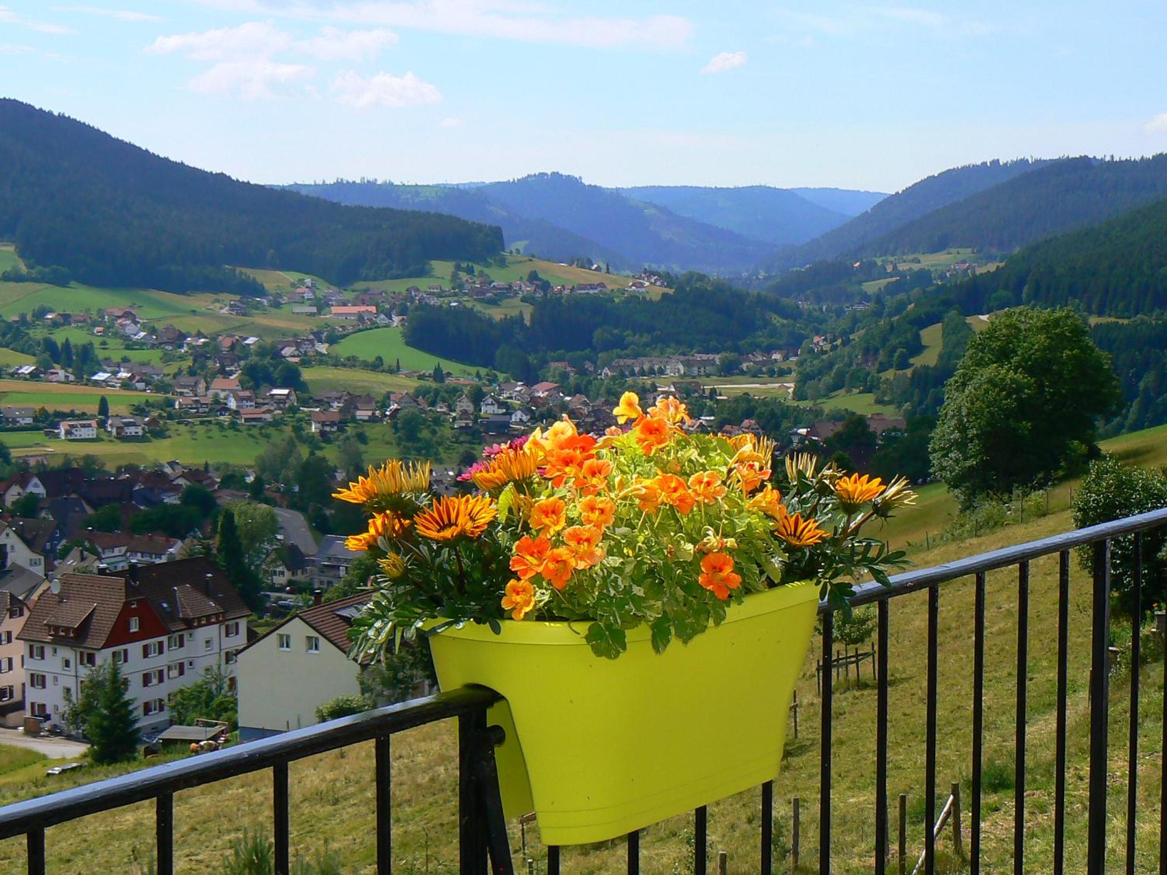 Gasthaus Talblick - Schwarzwald Plus Karte inkludiert