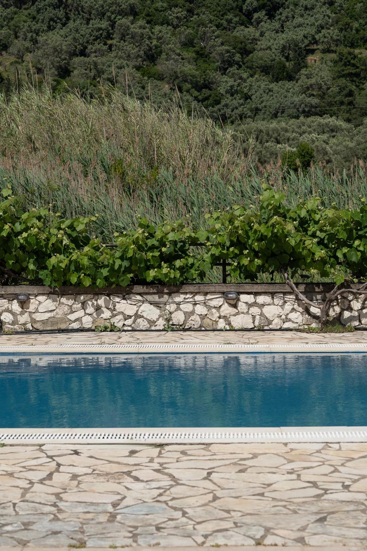 Ionian Memories