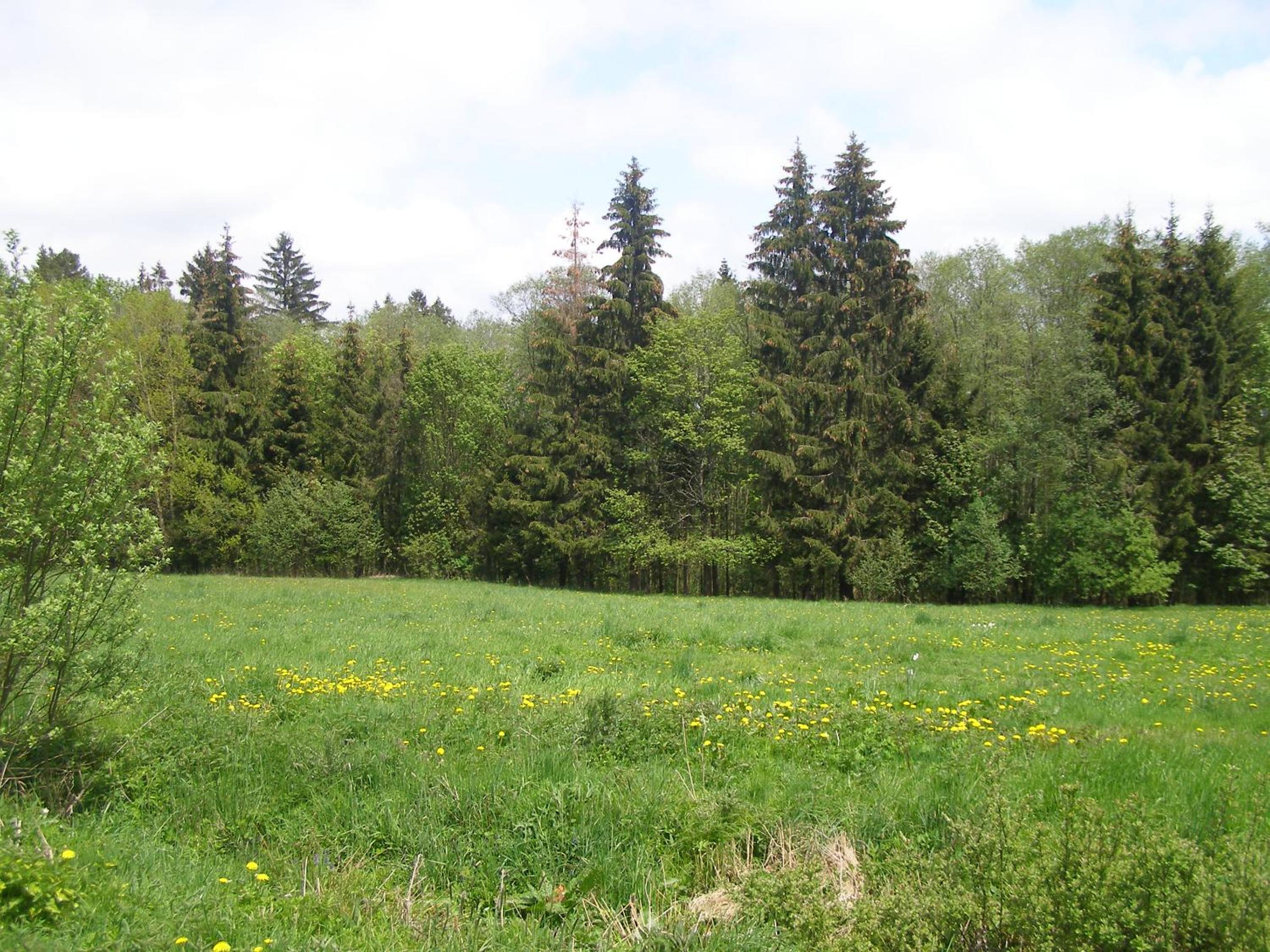 Apartmán Dvorečná