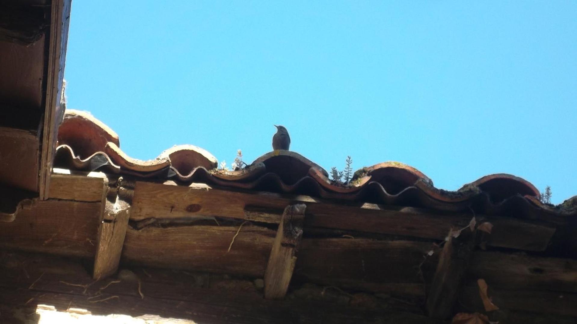 Molinos de Antero