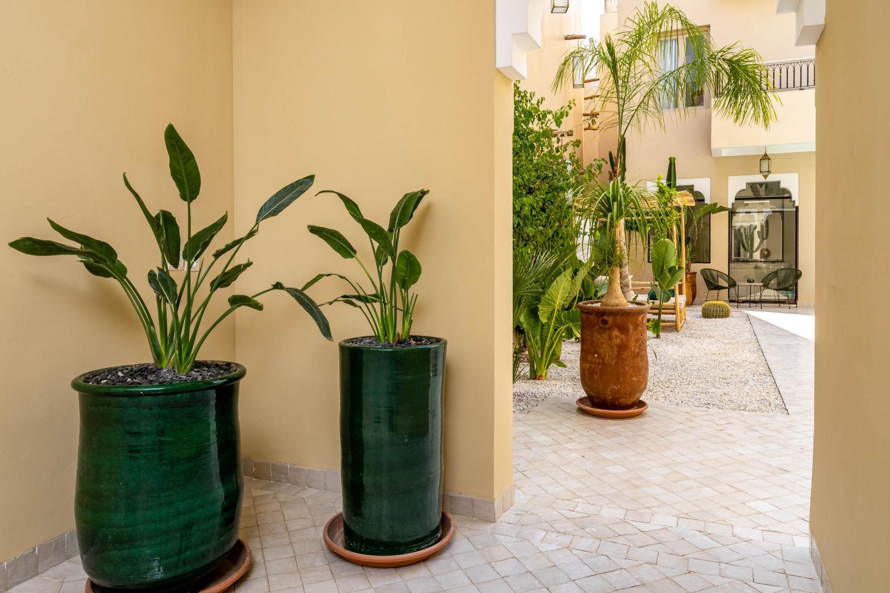 Riad Malaika