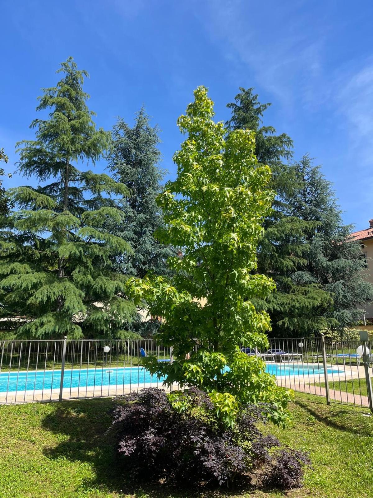 Esclusiva Mansarda Parco di Monza