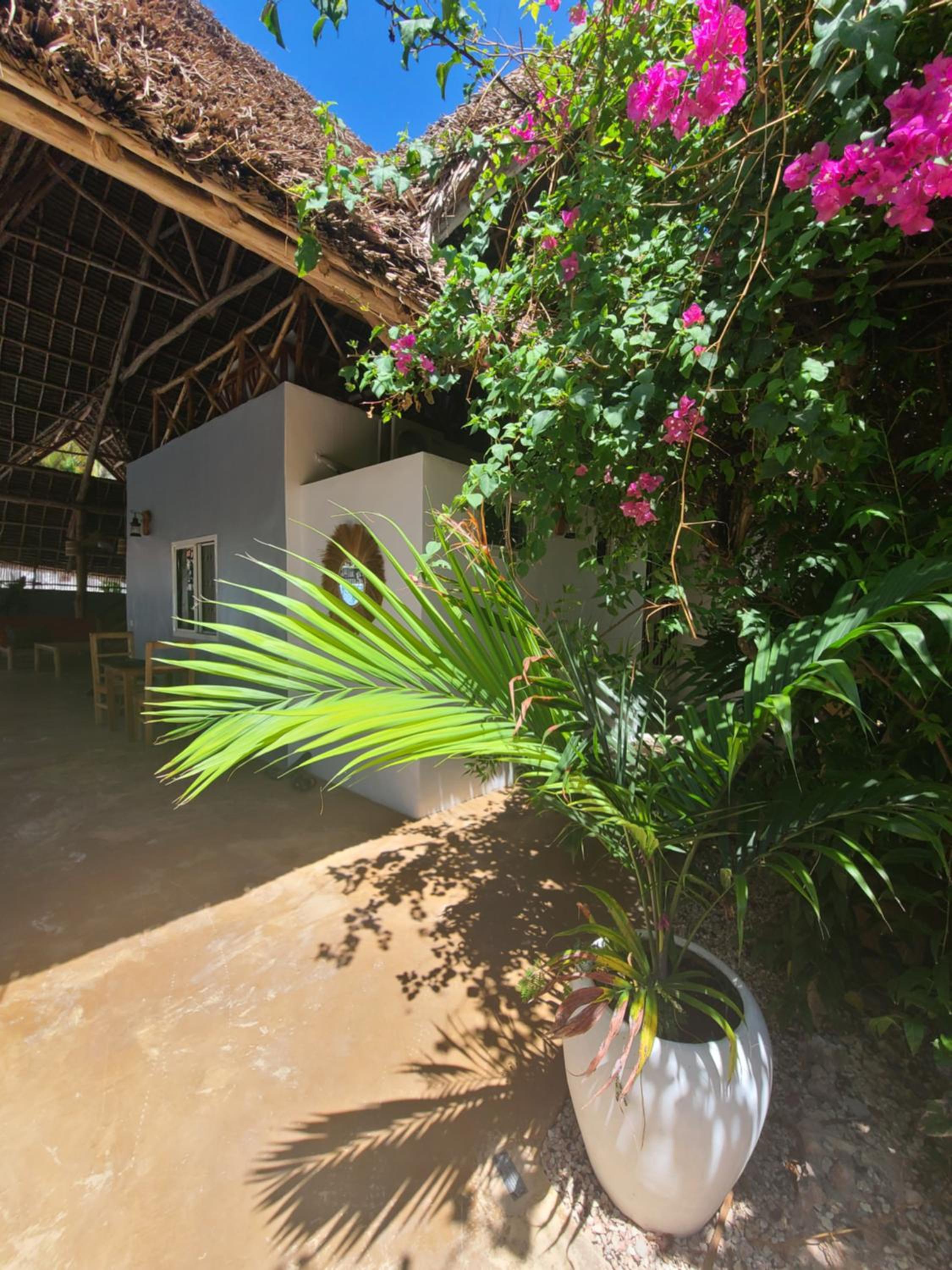 Mbaliparadise