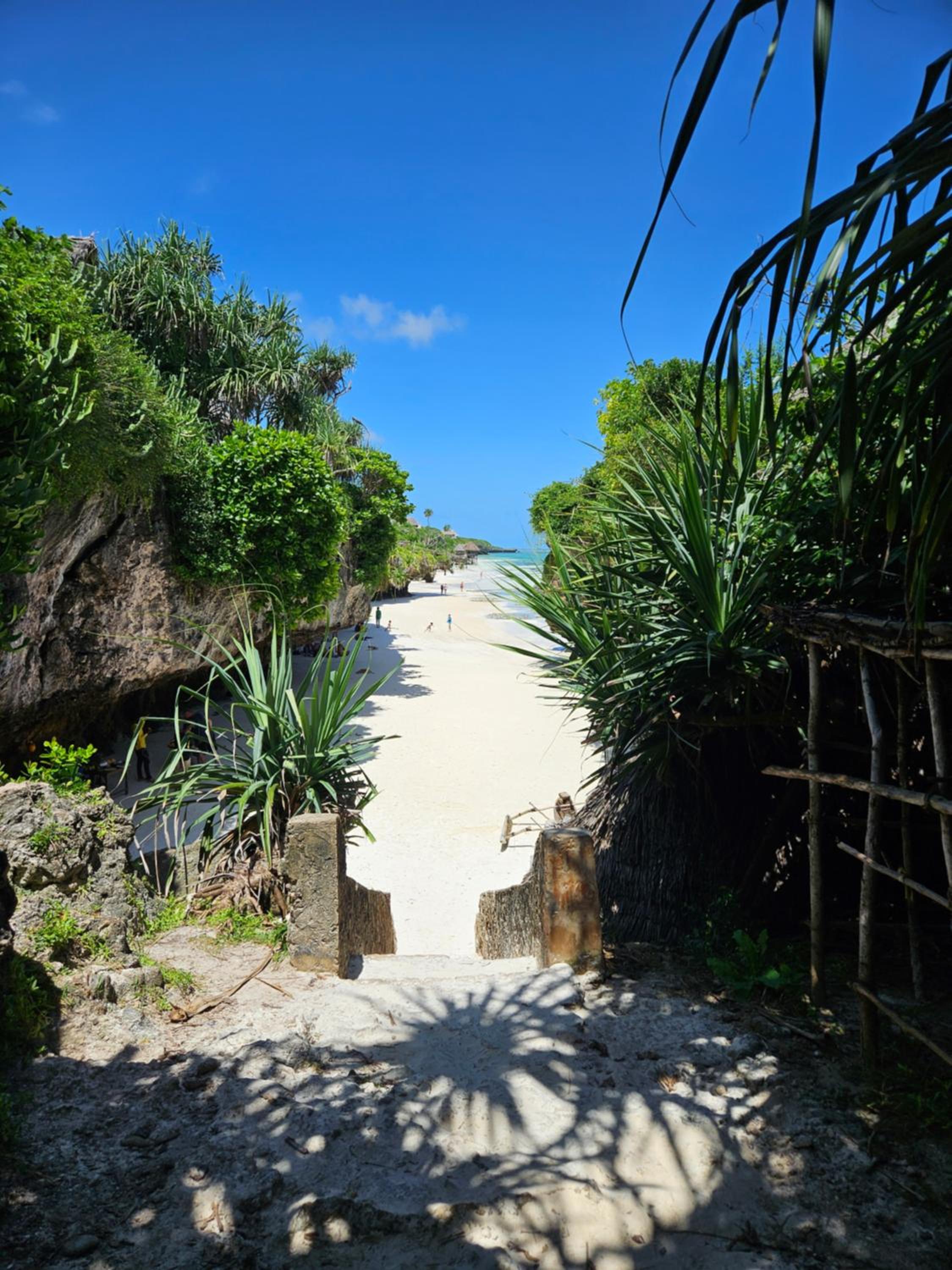 Mbaliparadise