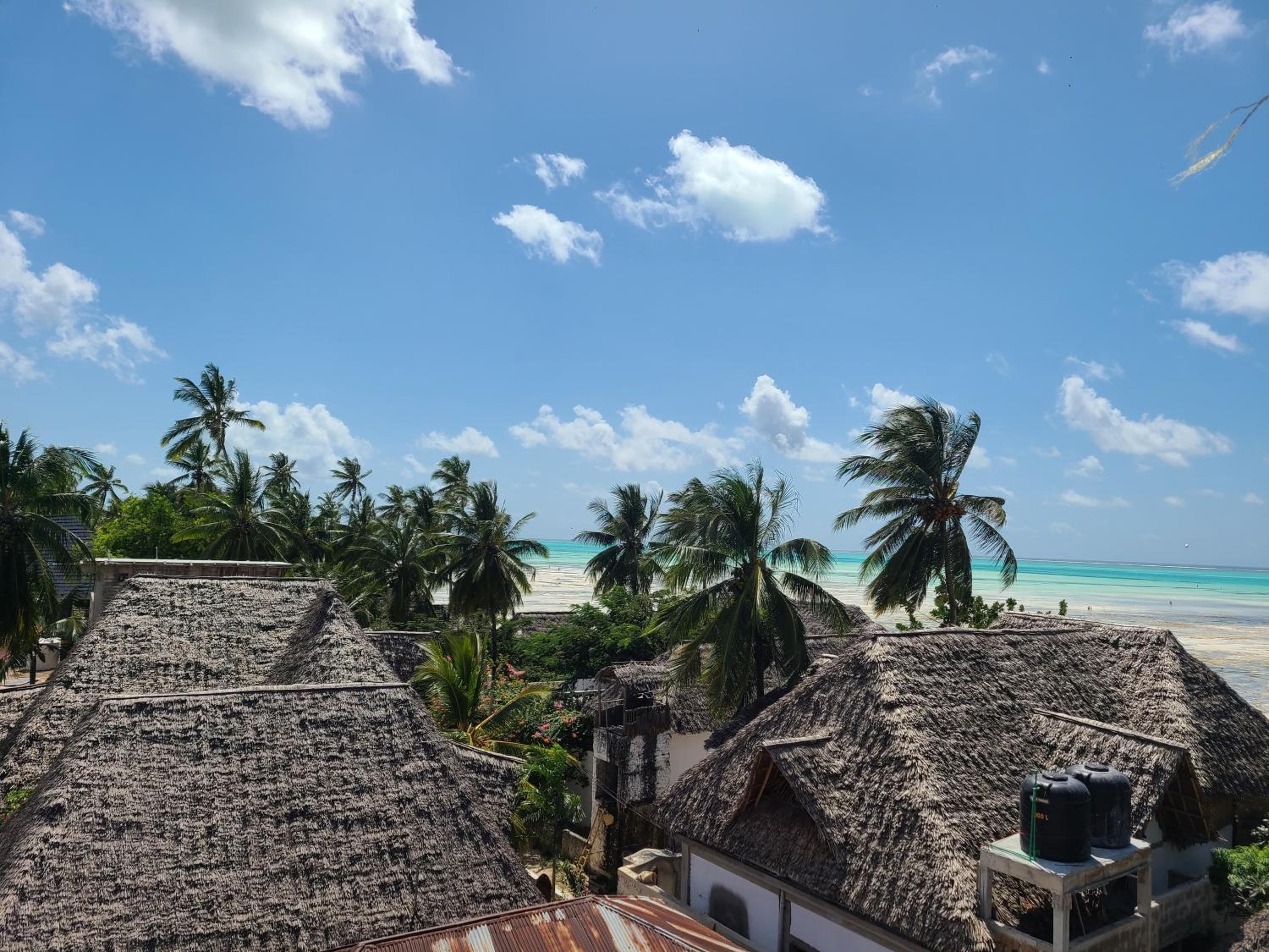 Mbaliparadise