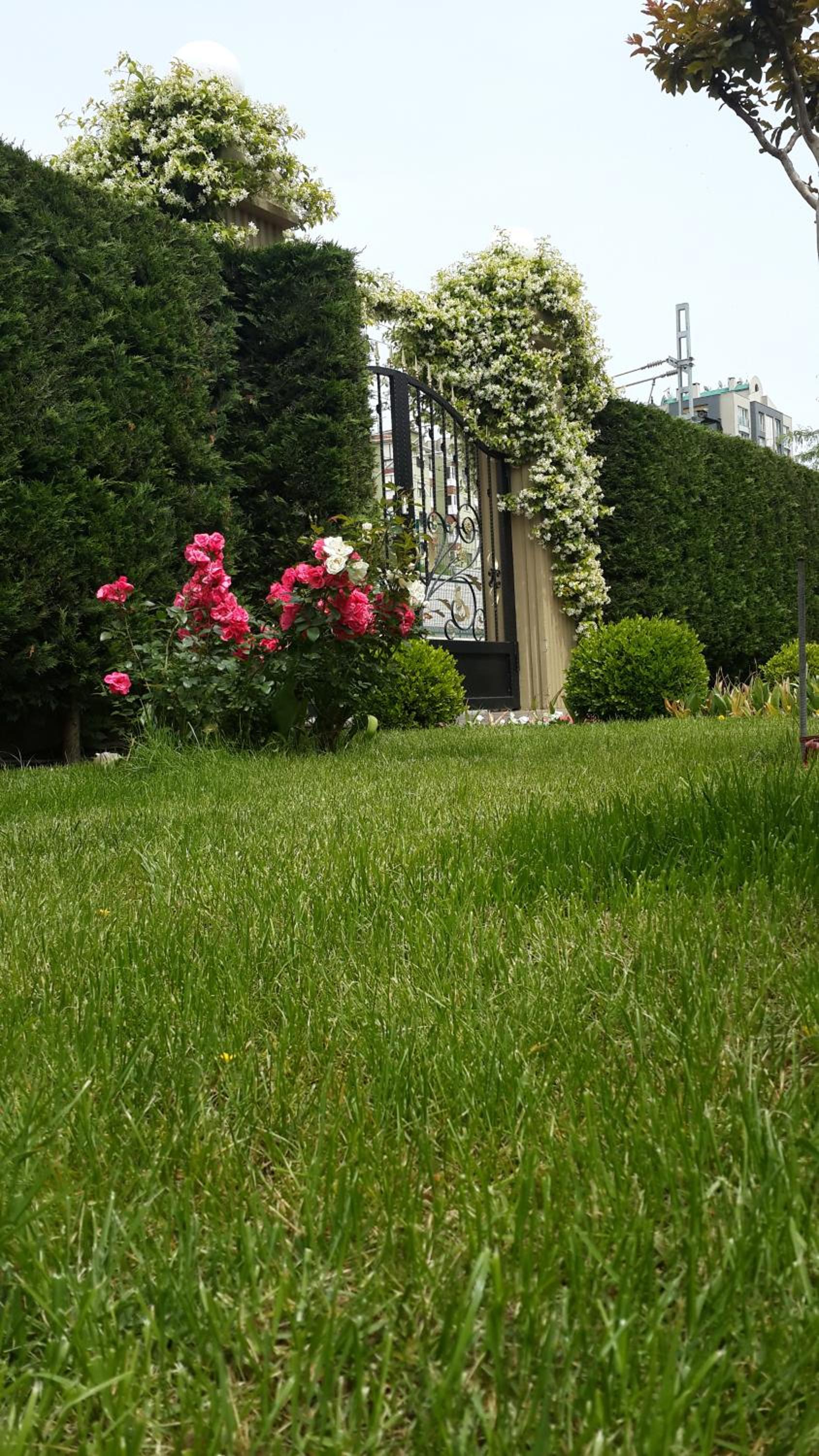 Pendik Marine Otel - Image 17