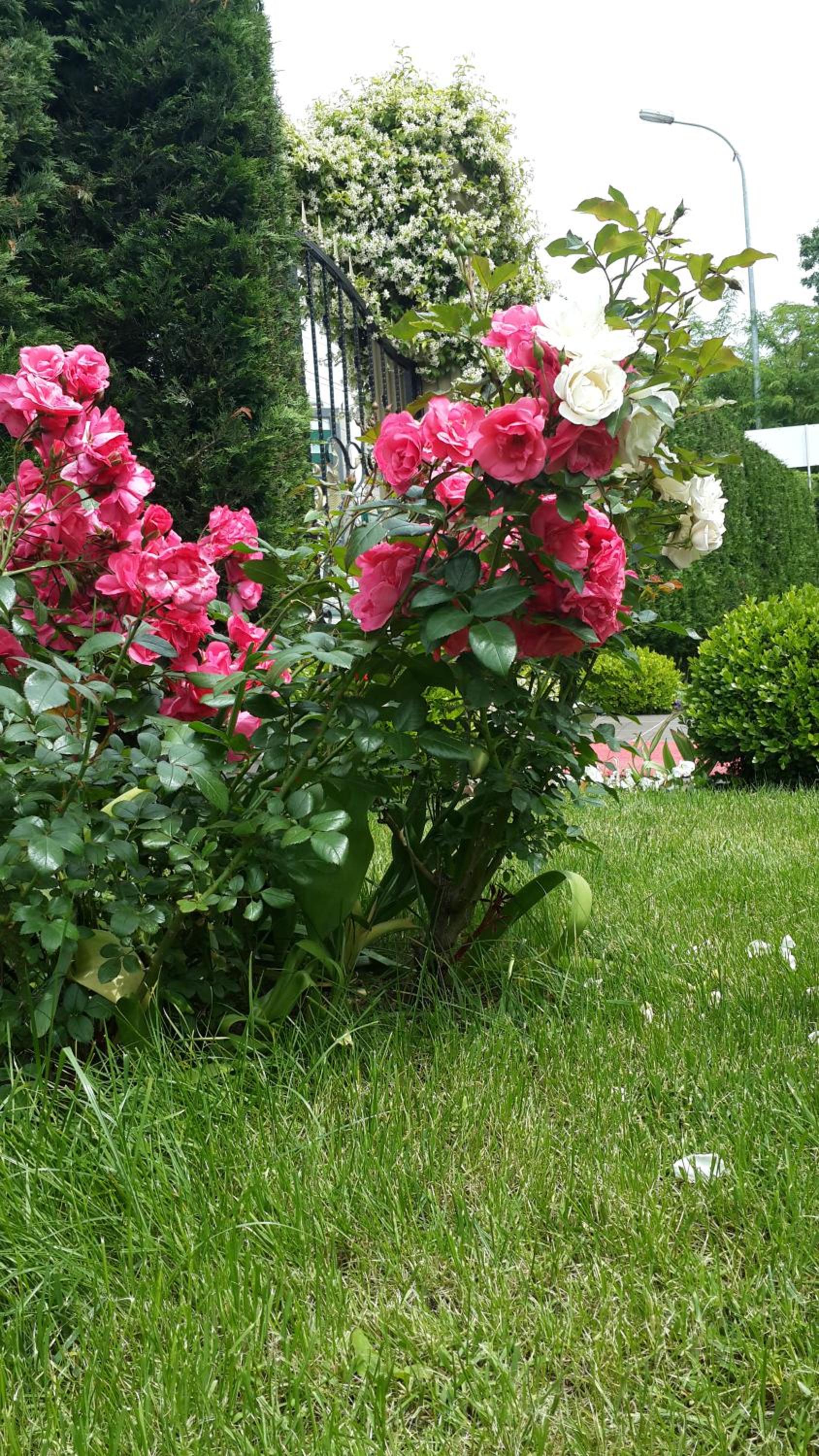 Pendik Marine Otel - Image 32