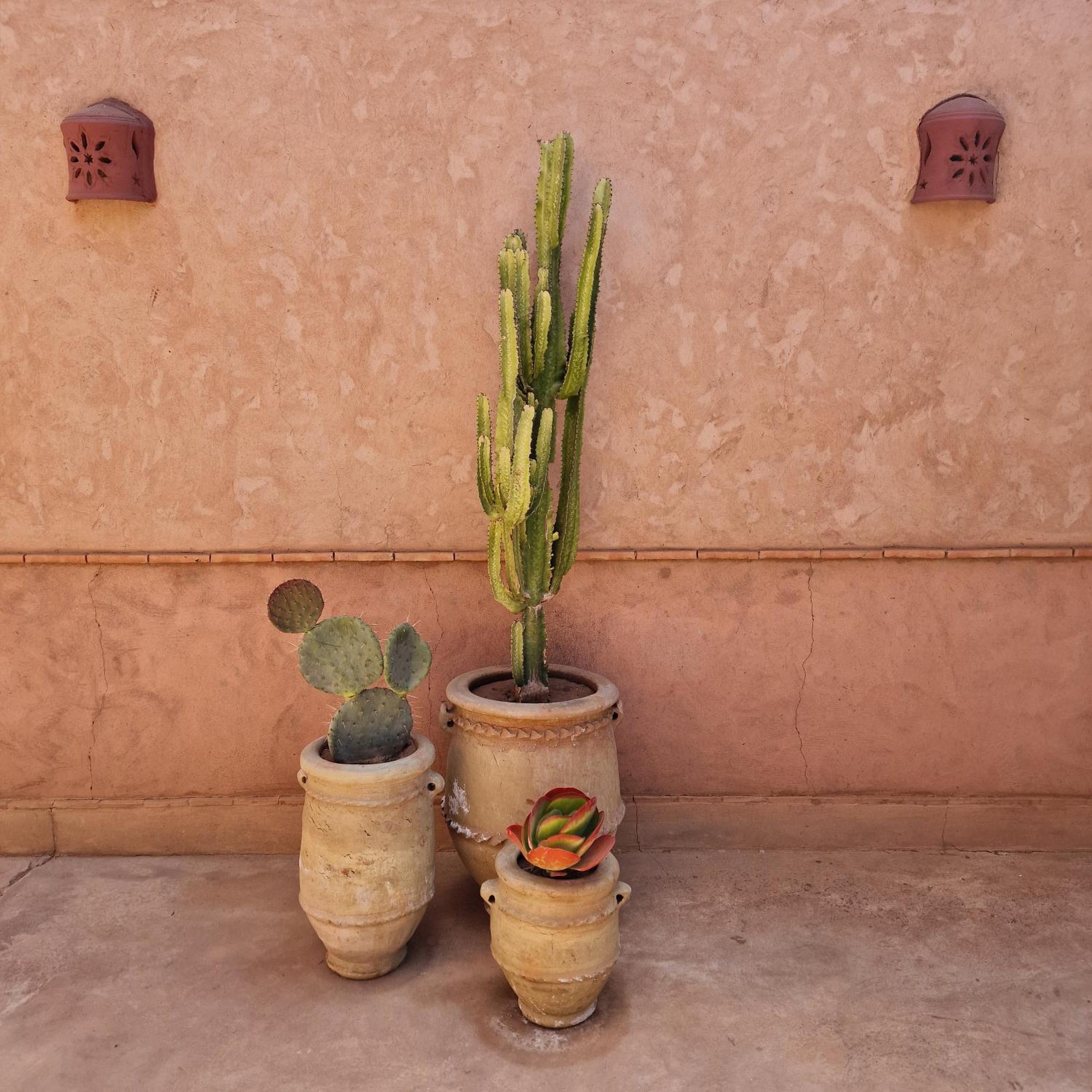 Hôtel Dar 55 - Berber House - Boutique Hôtel