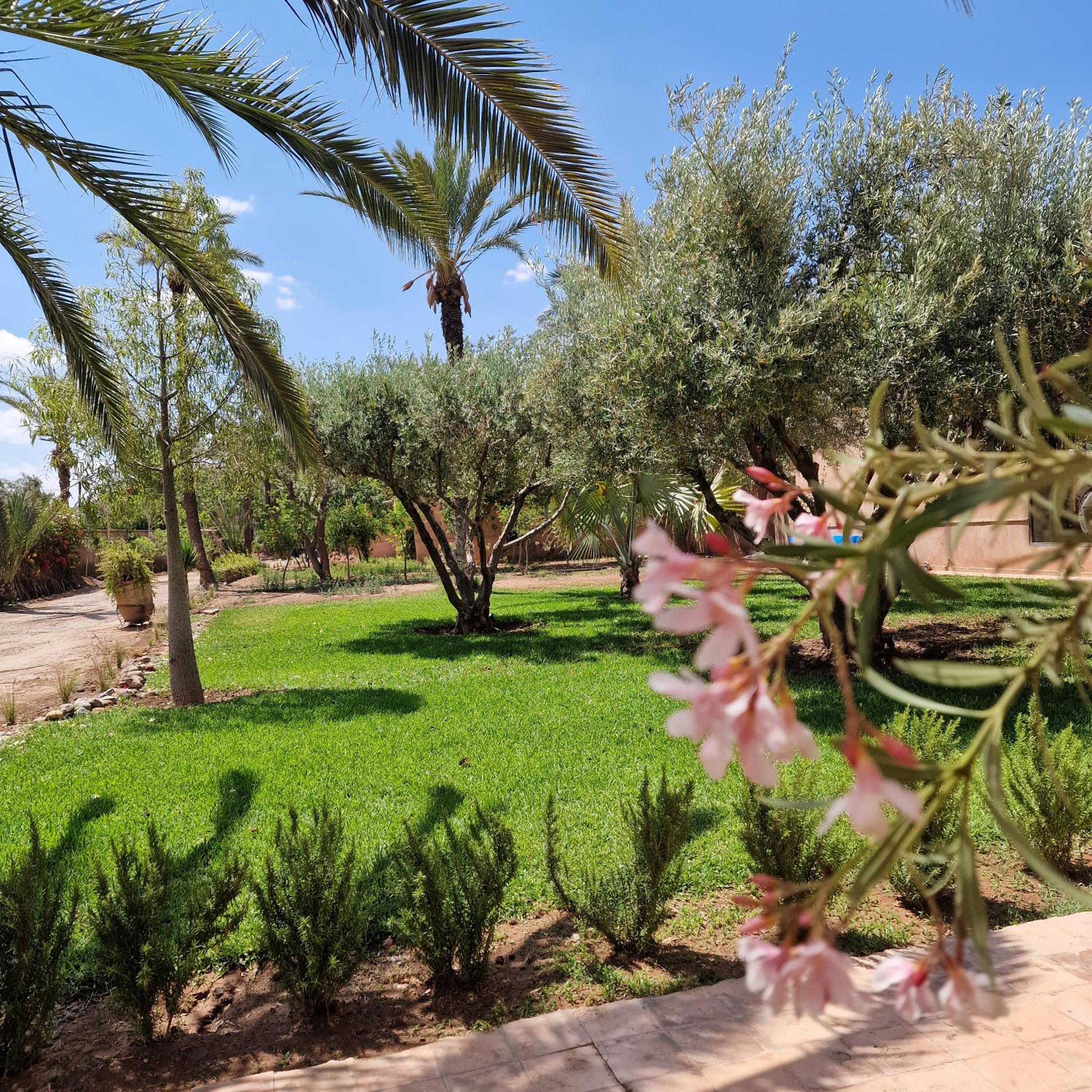 Hôtel Dar 55 - Berber House - Boutique Hôtel