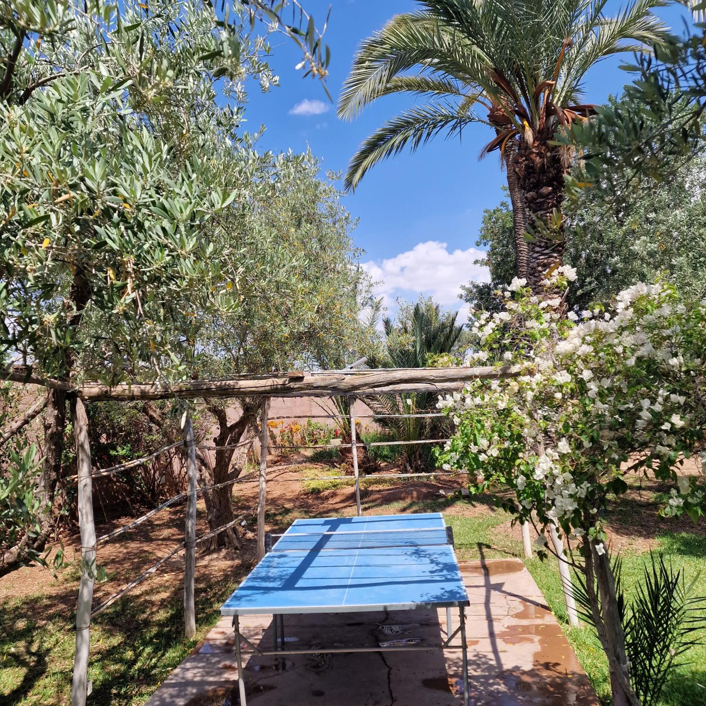 Hôtel Dar 55 - Berber House - Boutique Hôtel