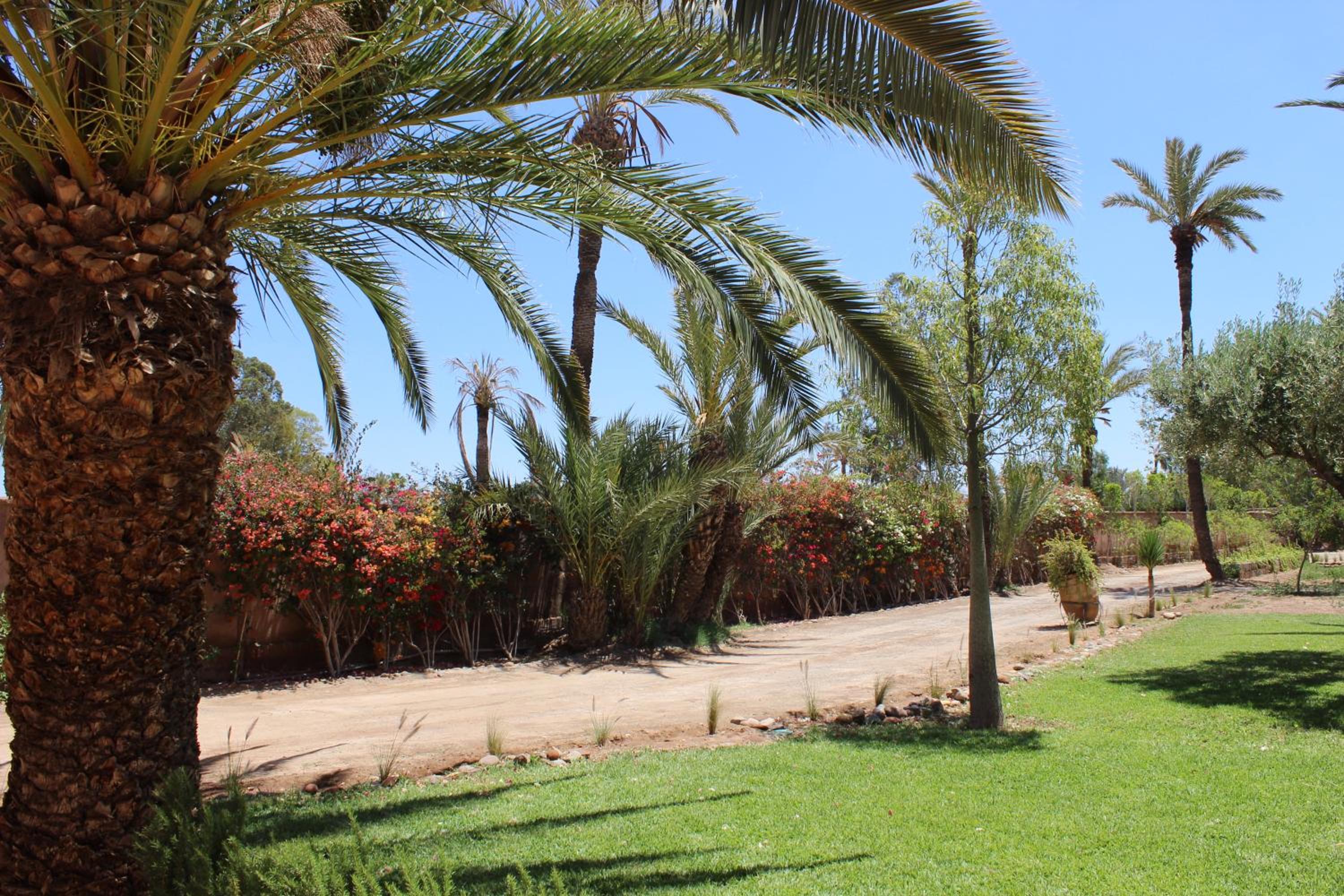 Hôtel Dar 55 - Berber House - Boutique Hôtel