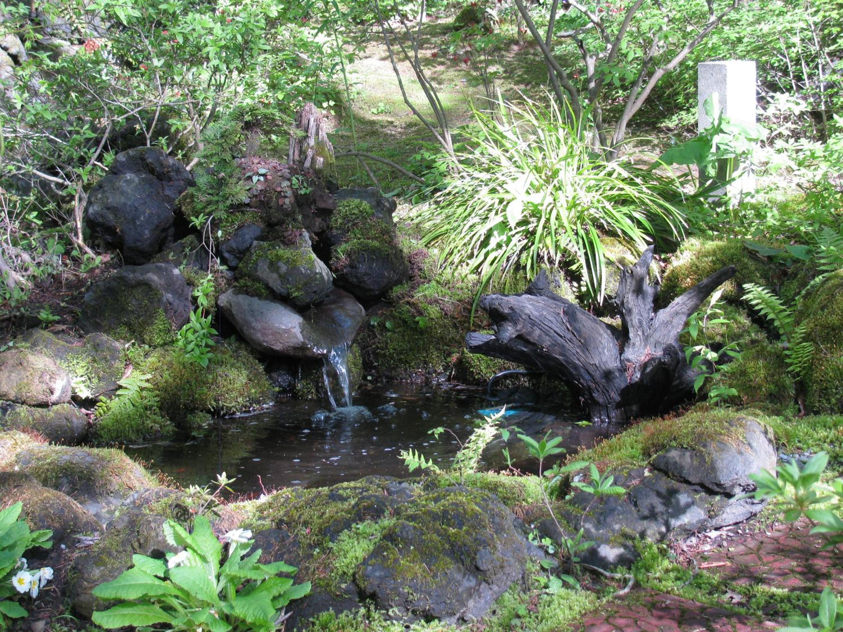 La Forest De Nome Karuizawa